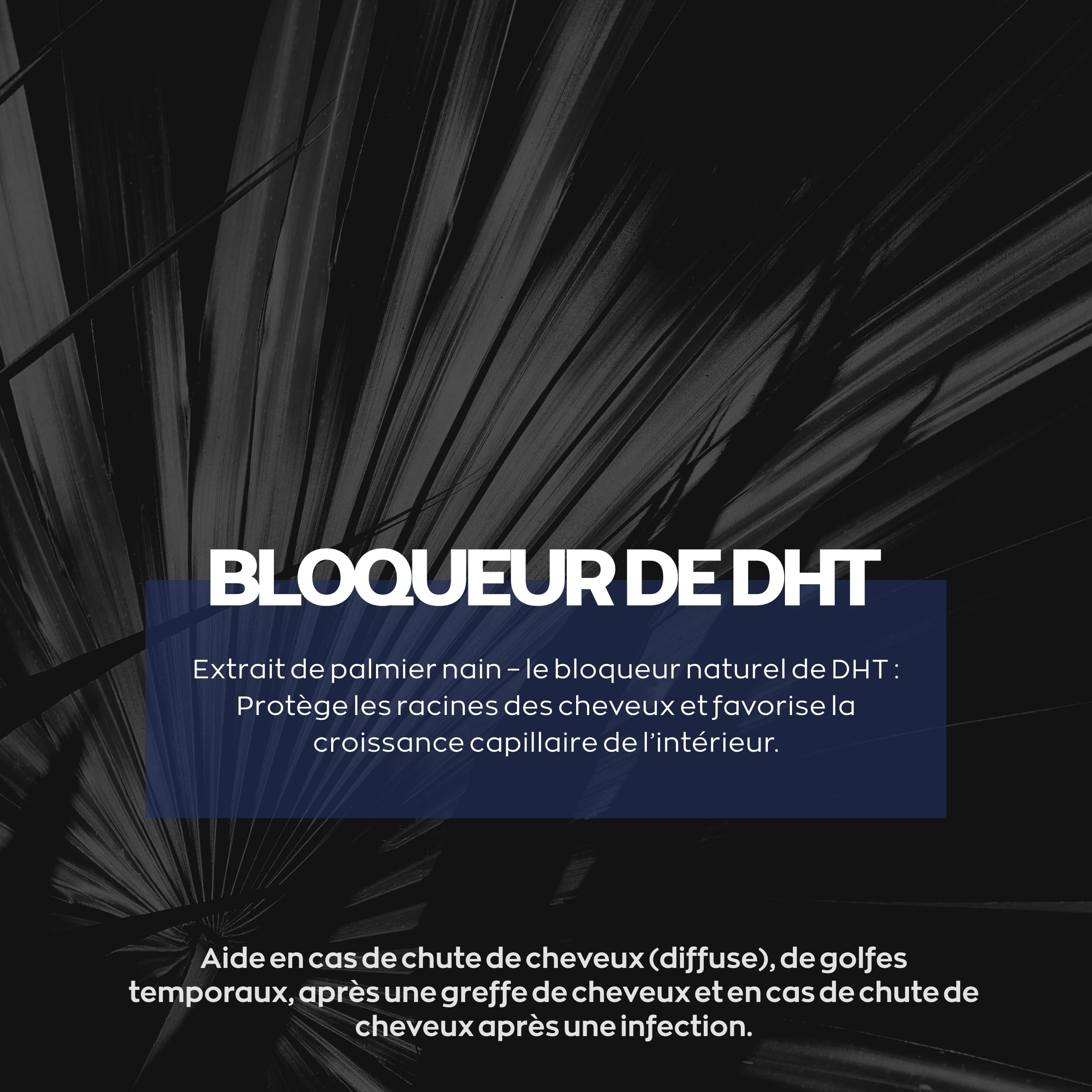 XPECIA Comprimés pour hommes contre la chute des cheveux, bloque la DHT, nouvelle formule de croissance des cheveux 120 Unité (Lot de 2 boites de 60)