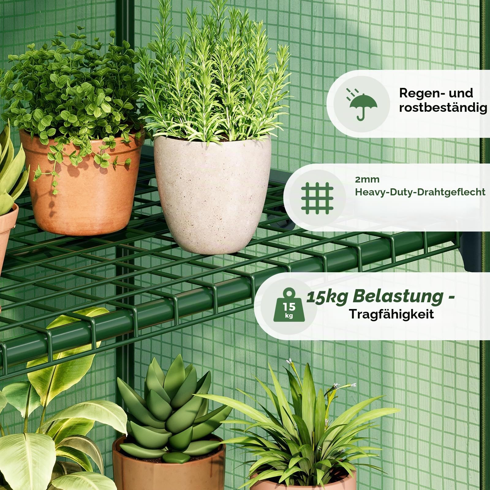 Bamworld Gewächshaus Klein Mini Gewächshaus Foliengewächshaus 4 Etagen Tomatengewächshaus Gewächshaus Balkon Für Gemüse Blumen Pflanzen Sämlinge Anzucht Im Garten Terrasse