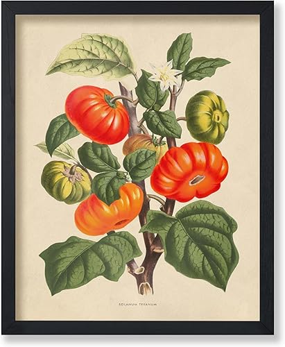 Miniatura 7 de Poster Master Póster de flores vintage, estampado botánico retro, arte floral antiguo, arte de plantas, regalo para hombres y mujeres, gran