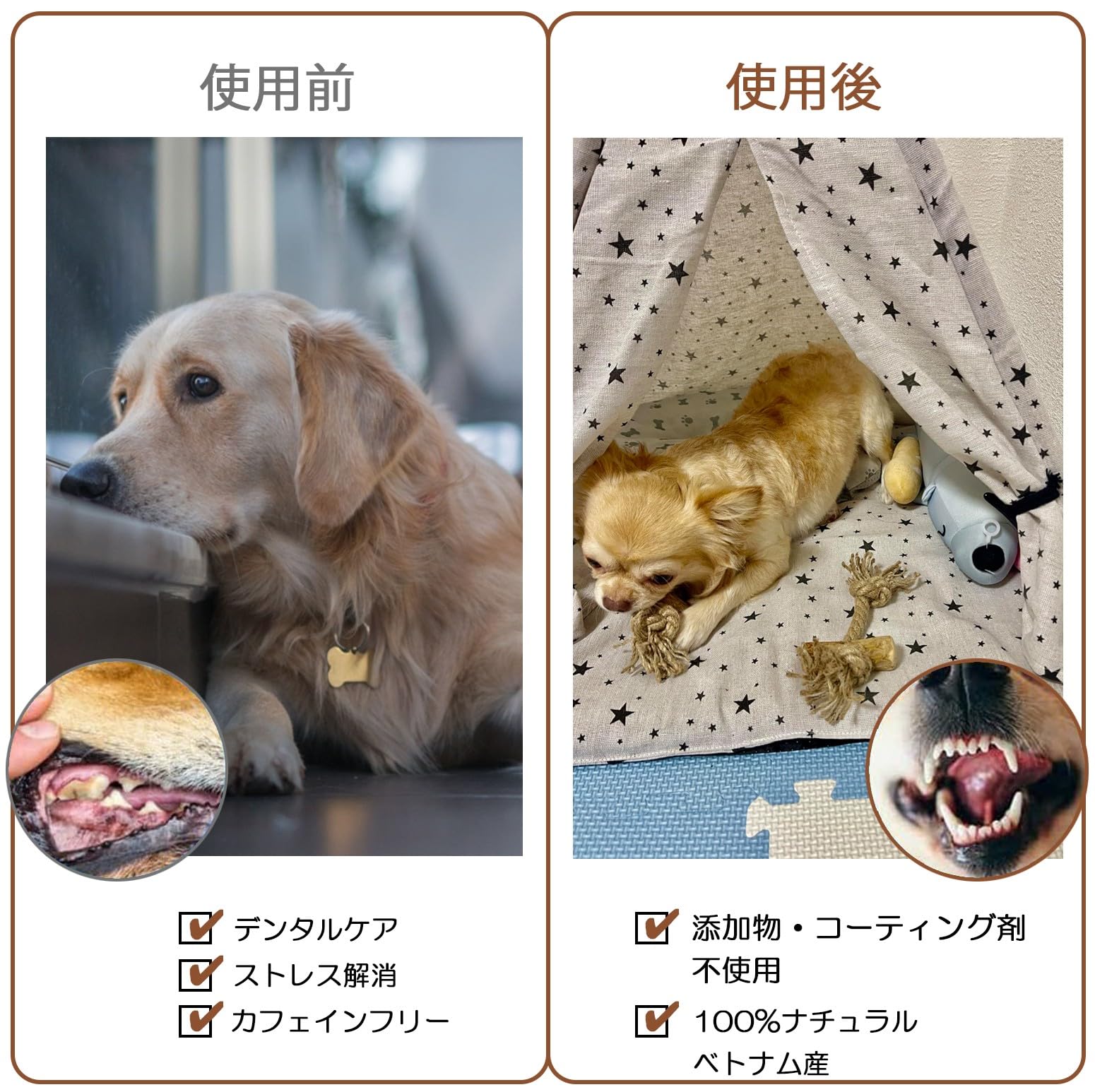 Amazon | betogo [ベトゴ] 犬噛むおもちゃ ロープ付き コーヒー木 知育