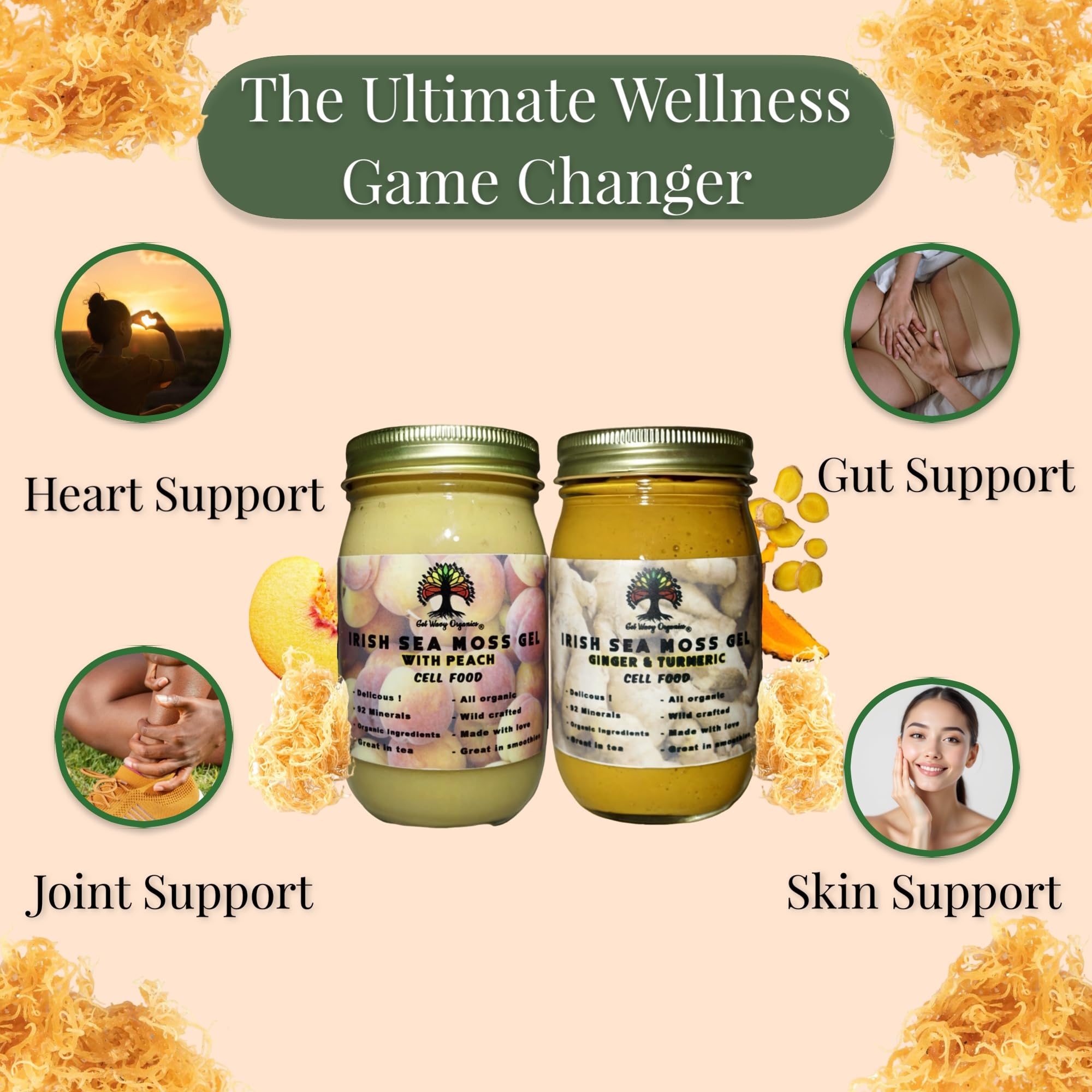Amazon.com: Wildcrafted Irish Sea Moss Gel with Raw Ginger