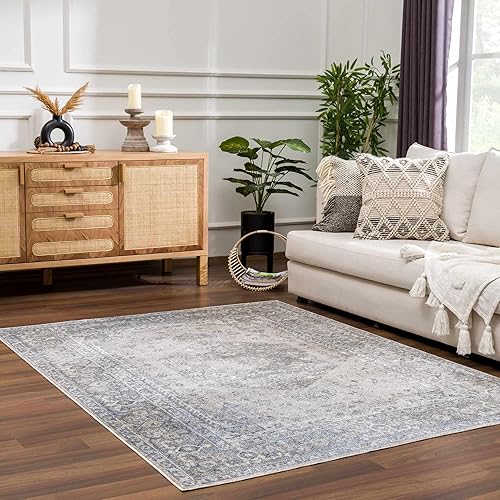 Hauteloom Manhattan - Alfombra lavable a máquina para sala de estar, bohemio, vintage envejecida, diseño tradicional de medallón persa, apta para