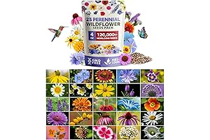 HOME GROWN: 120K Bulk Wildflower Seeds for Pollinators (4oz)
