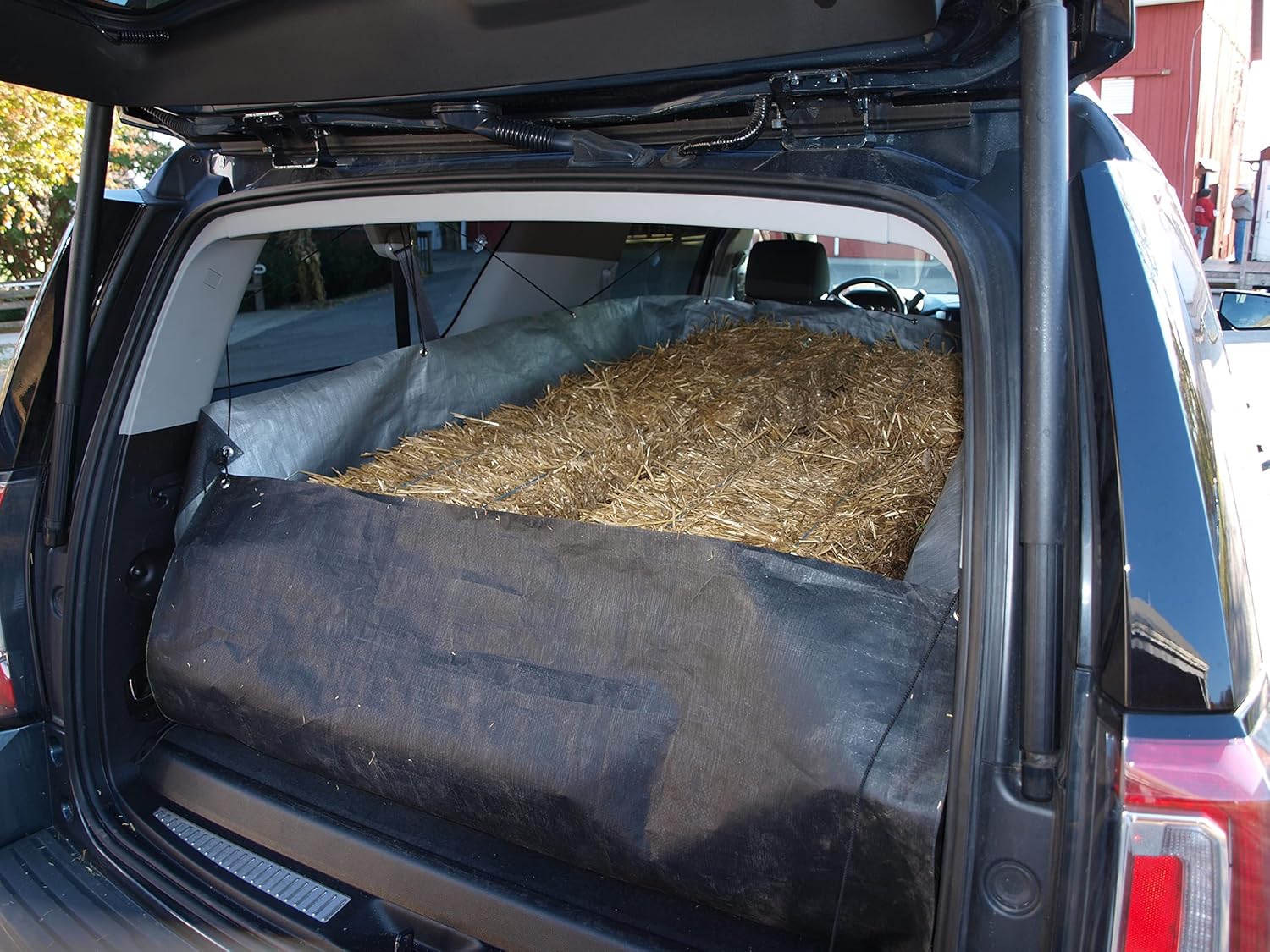 SUV Cargo Liner with Sides (Extra Large)