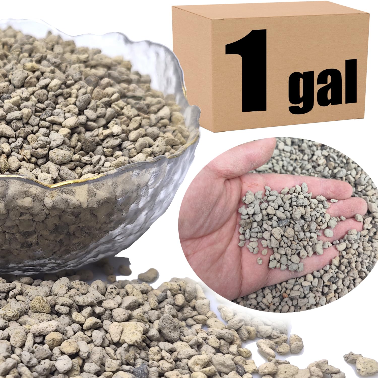 Organic Pumice for Bonsai and Horticultural 100% Natural (1 gallons, 1/4 inch)