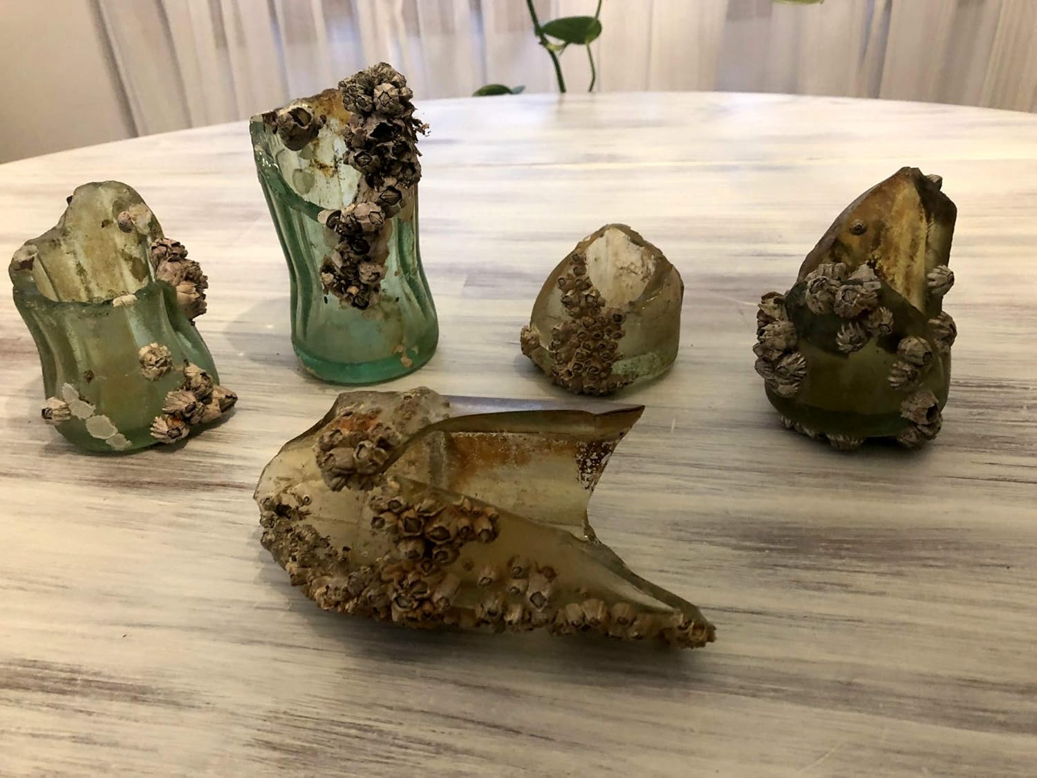 Vintage Bottles, Barnacle Bottle, Candle Holder, Beach