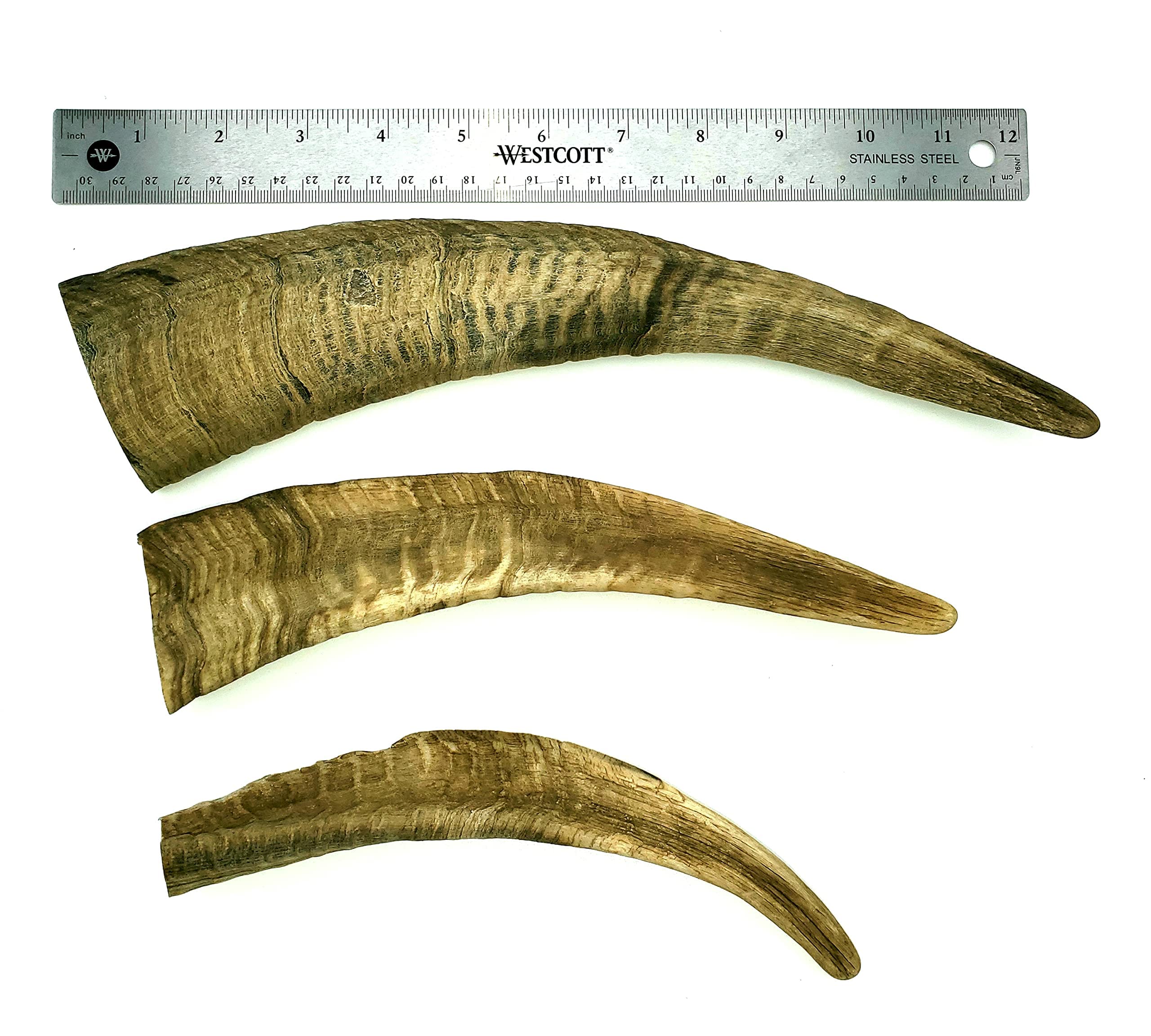 Kauspielzeug für Hunde, getrocknet, Ziegenhörner, groß, 1 Stück