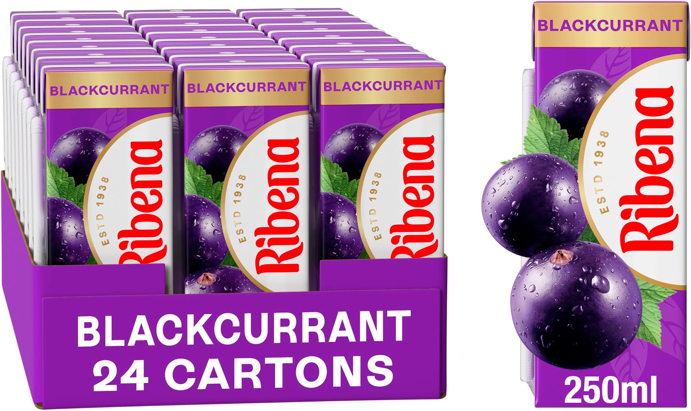 Original Blackcurrant Flavour Natural Fruit Juice - 250ml | Pack of 24 |Rich in Vitamin C 250 ml (Pack of 24)