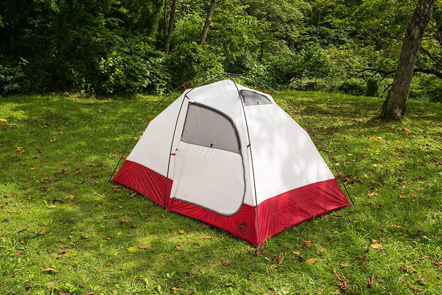 Amazon | エムエスアール(MSR) アウトドア 登山 オールシーズンテント 