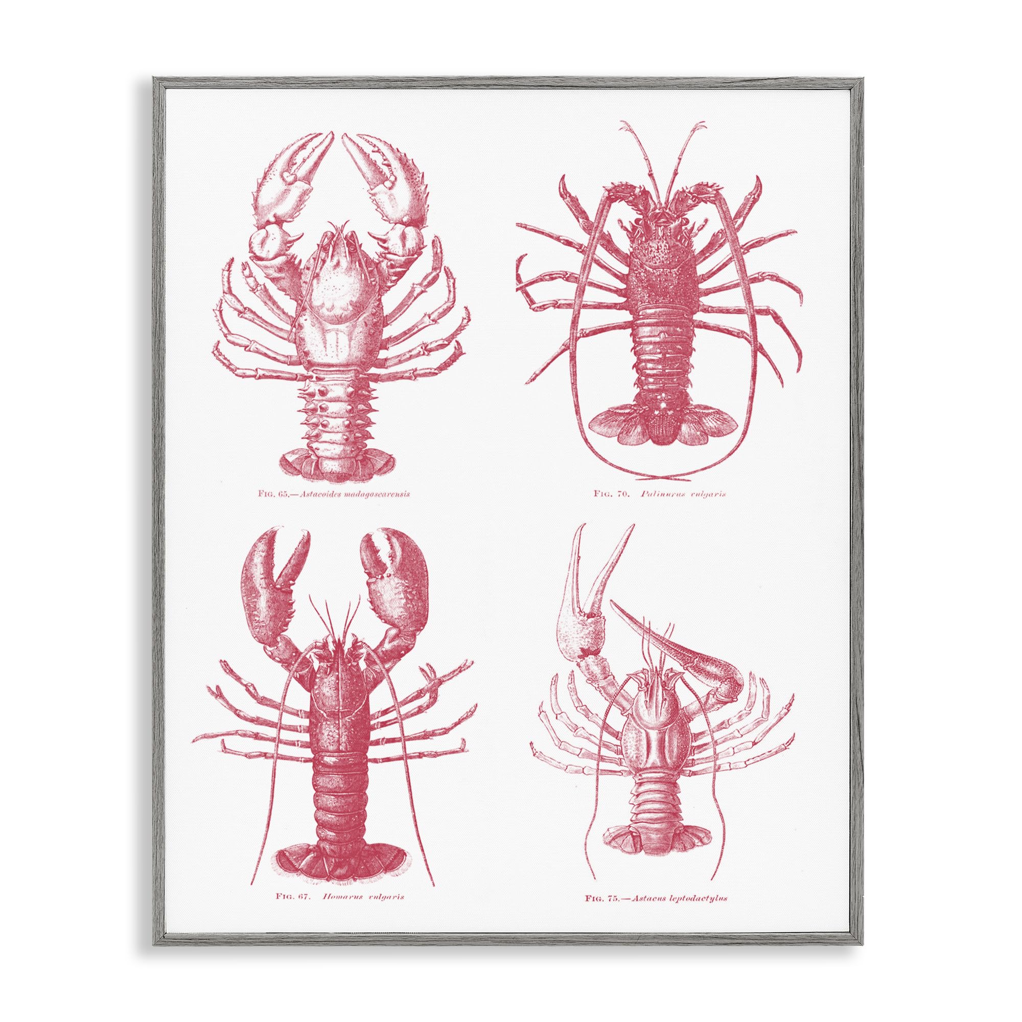 Tableau homards intemporels Stupell Industries cadre noir 35x27 cm