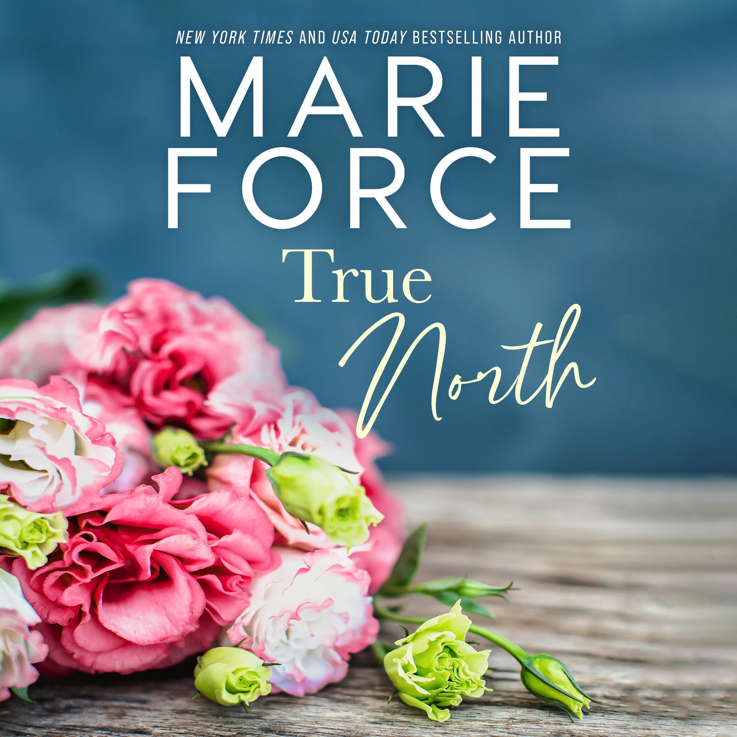Cover art for True North