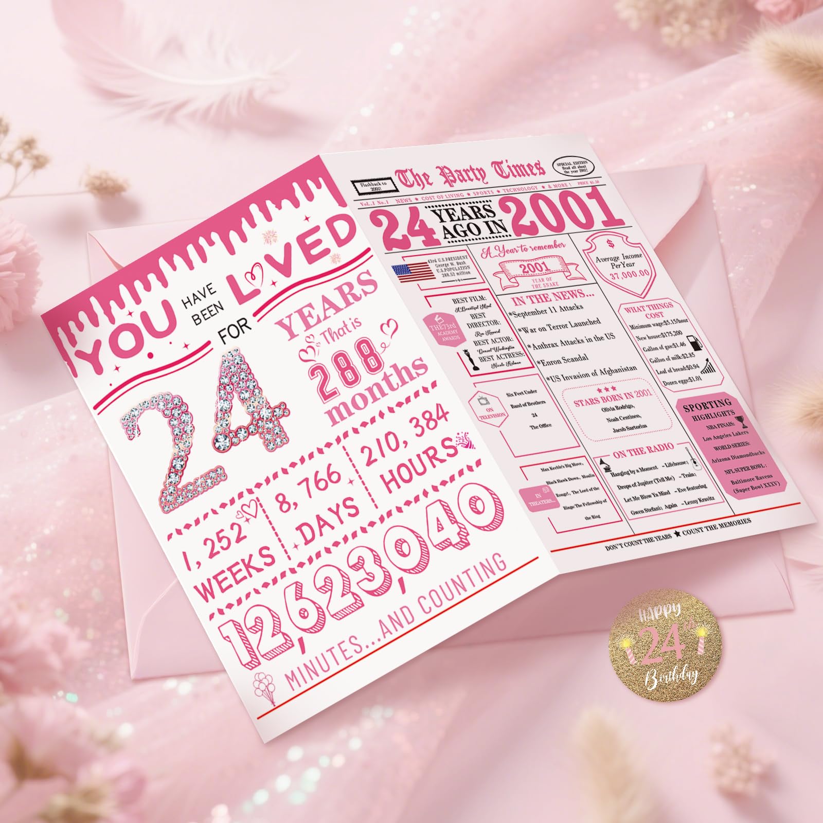 Vailontiss Happy 24th Birthday Cards for Daughter, Funny 24th Birthday Decorations for Girls, Vintage Back in 2001 Birthday Poster for Niece, 24 Year