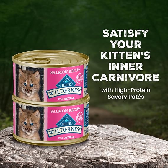 Blue Buffalo Wilderness Kitten Grain-Free Salmon Pate Wet Cat Food with DHA, High-Protein & Made with Natural Ingredients, Supports Healthy Growth & Development, 3-oz. Cans (24 Count)