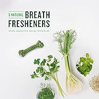 Vista 6 de Minties VetIQ - Golosinas dentales en hueso para perros, masticables dentales para perros medianos a grandes (más de 40 libras), 40