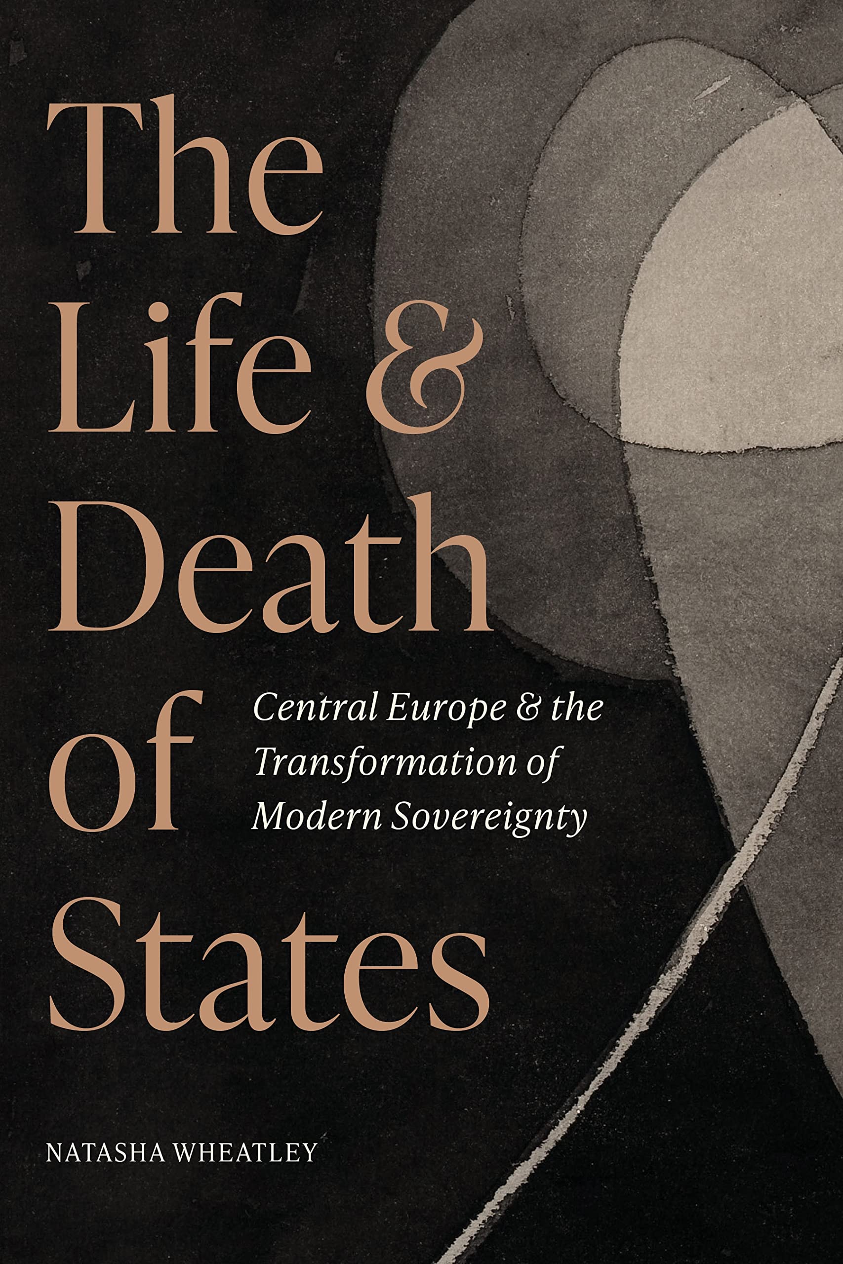 The Life and Death of States by Natasha Wheatley - 9780691245768