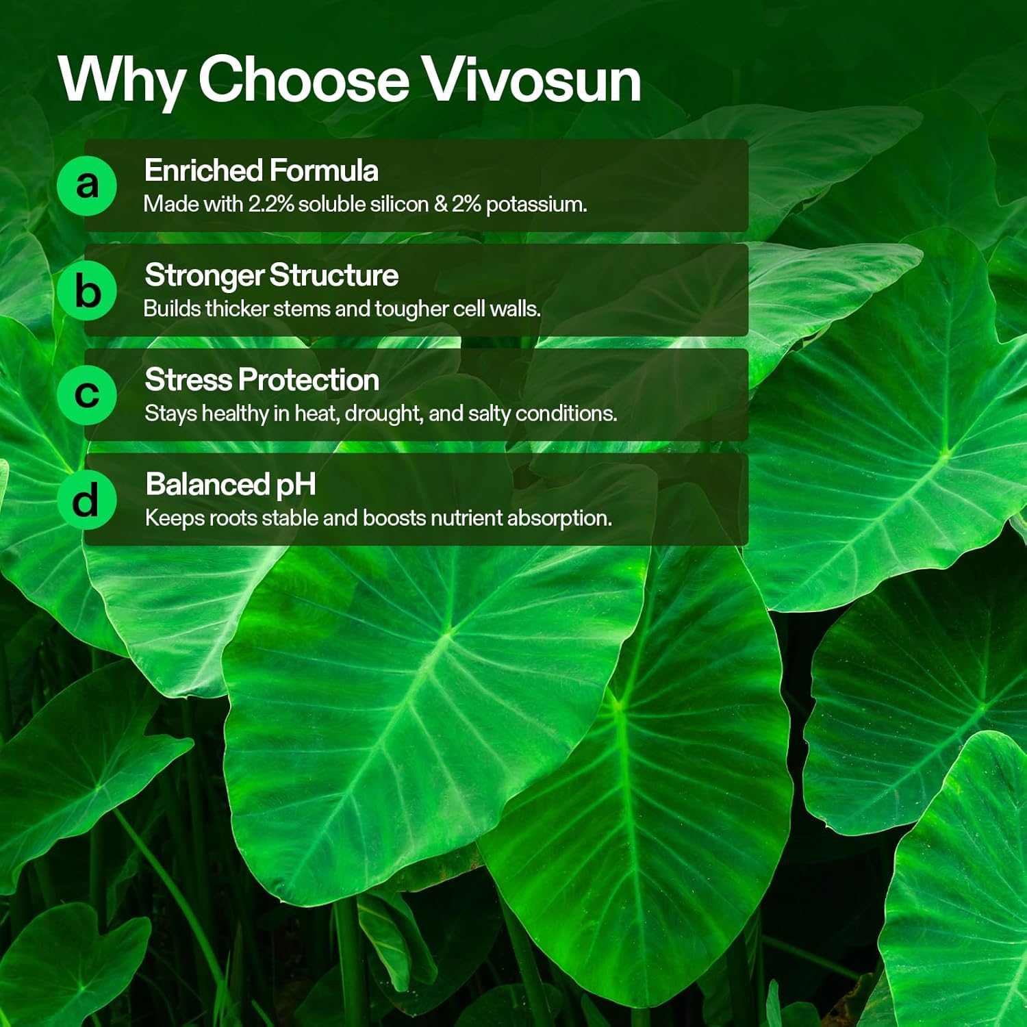 VIVOSUN StemX (0-0-2) Silica for Plants, Soluble Liquid Silicon, Plant Supplement Fertilizer, Nutrient Solution for Strong Stems and Healthy Leaves, Boost Resilience, pH Balance, 32 oz - Image 3
