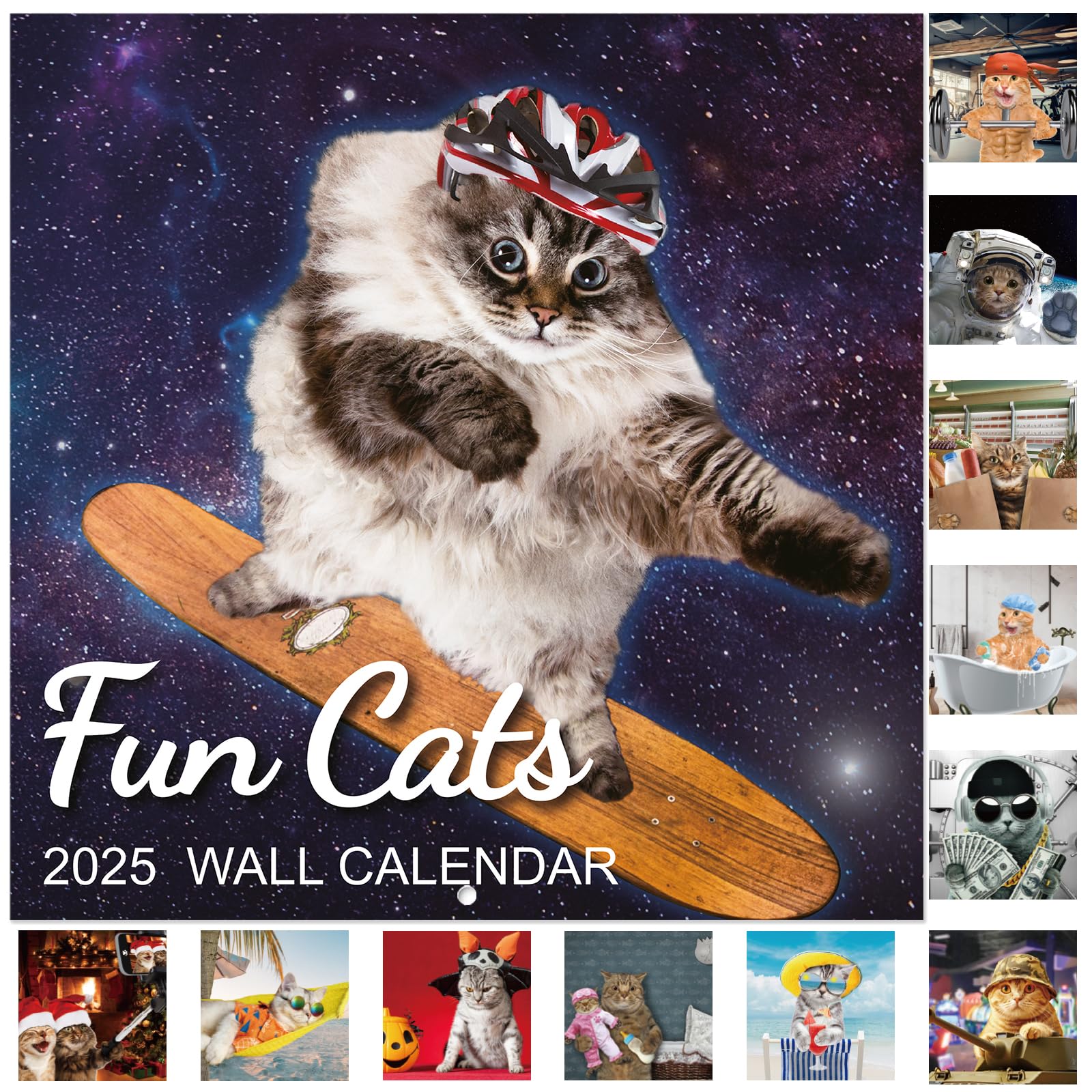 amazon-com-2025-wall-calendar-funny-cat-calendar-2025-jan-2025-dec-2025-12-x-24-open-wall-calendar-with-unruled-blocks-thick-paper-hanging-hole-office-products