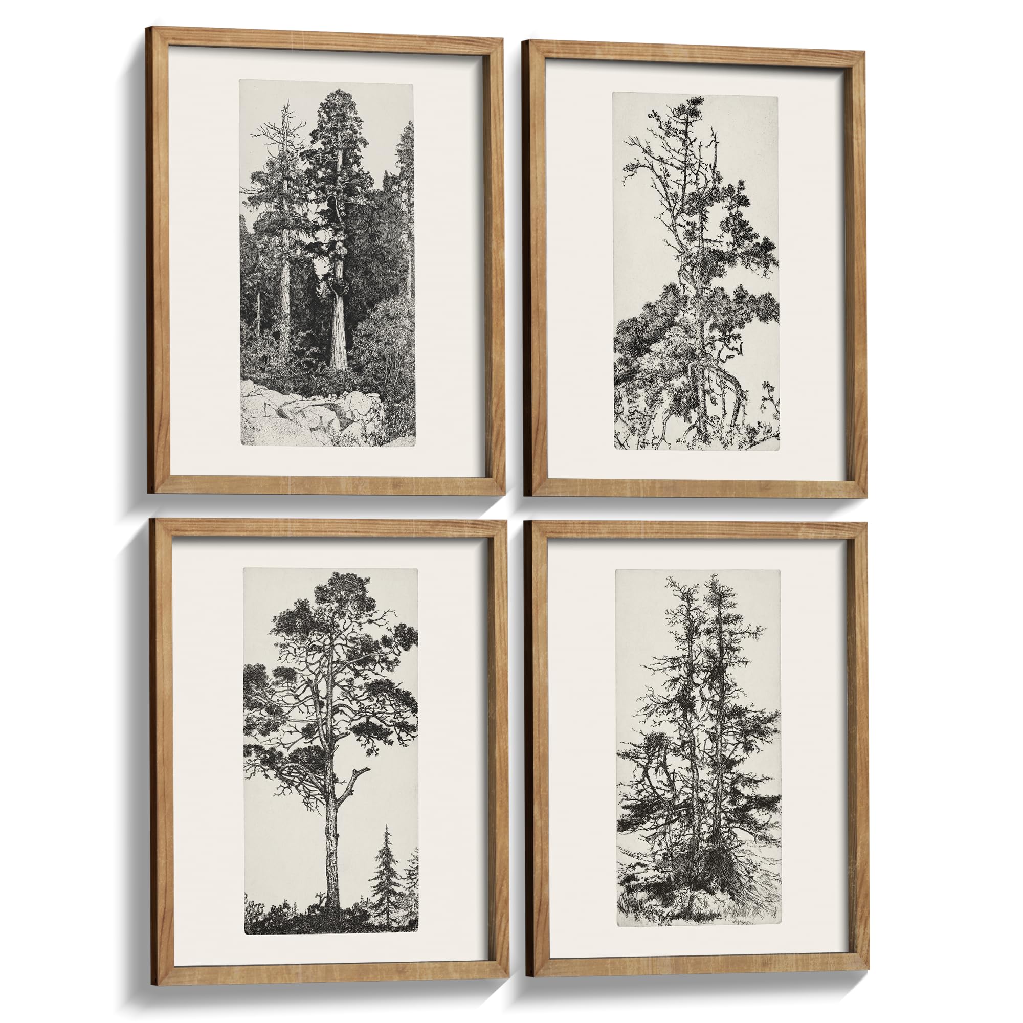Set of 4 Framed Wall Art Farmhouse Tree Prints Wall Decor Black and White Botanical Wall Arts Rustic Minimalist Wall Decor