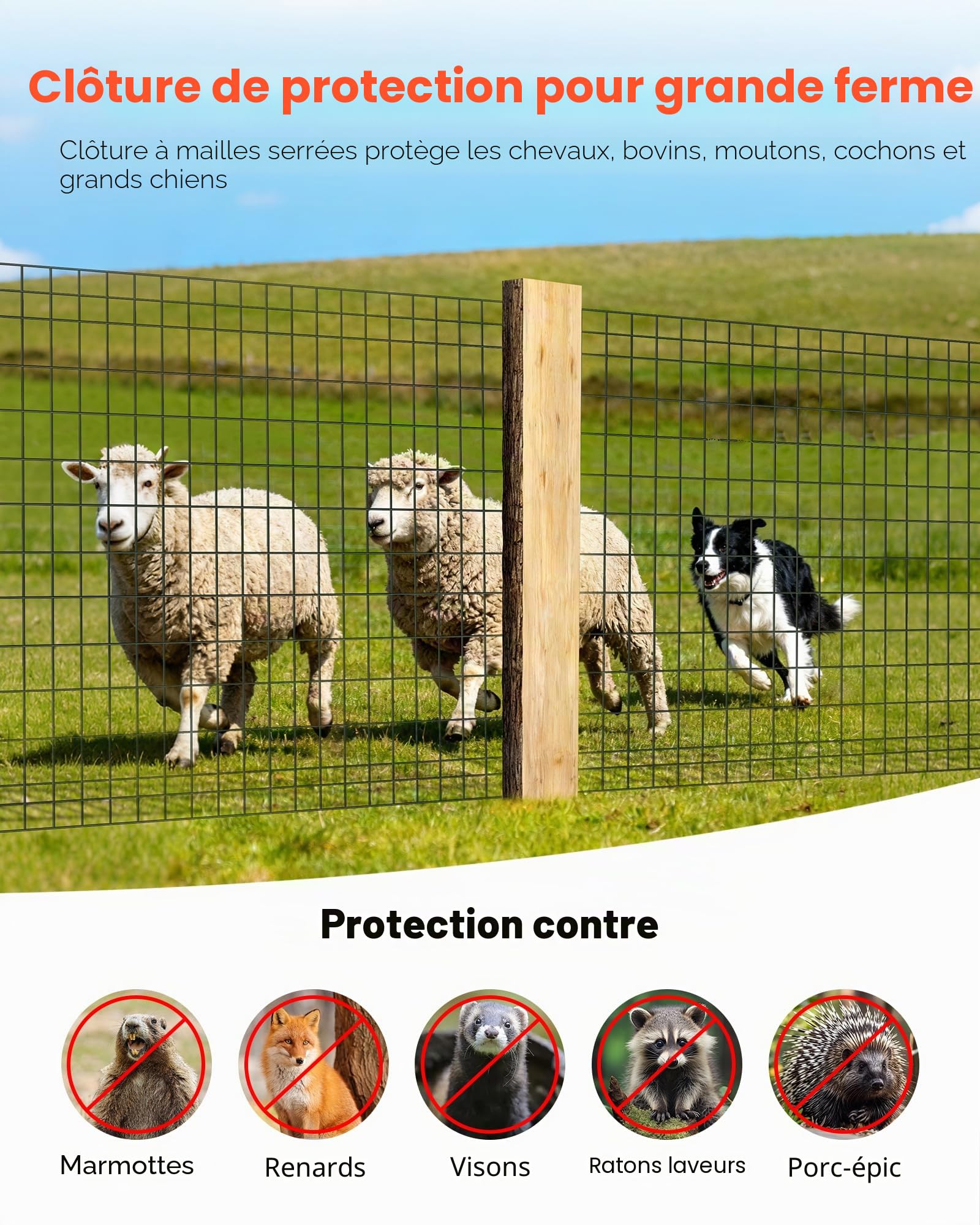 VEVOR Grillage Métallique Noir Maille 5 x 10 cm Rouleau Grillage Clôture à Moutons Soudé Fil en Fer Galvanisé Revêtement Vinyle PVC 122 cm x 15,2 m Calibre 14 pour Jardin Enclos Cage Animaux Ranchs