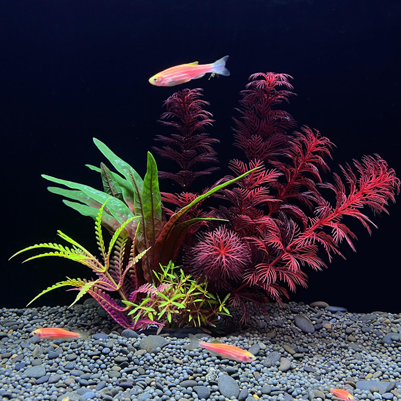 Adornos Artificiales de plástico for Plantas acuáticas, Accesorios simulación for pecera, 3 Piezas F