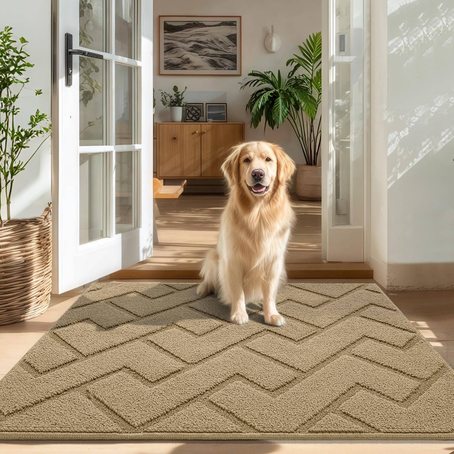 Biscpro Door Mats Indoor,Dirt Trapper Mat Absorbent Non-Slip Low Profile Doormat for Entrance,Inside, Kitchen,Front Door Mat Washable for Pets and Dogs— 50x80cm,Grey — view 101