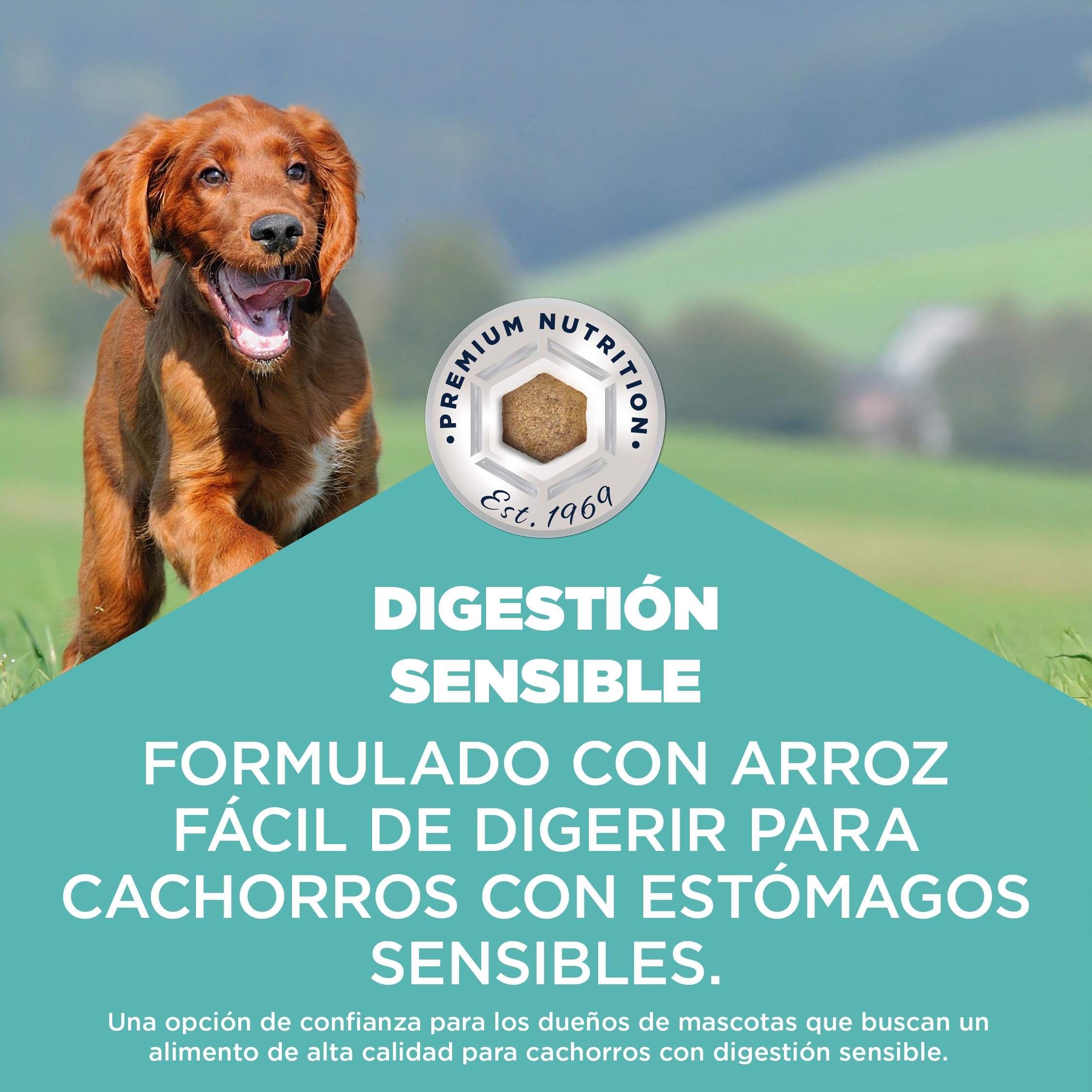 EUKANUBA Sensitive Digestion Alimento seco para Cachorros, Pollo&arroz,12kg