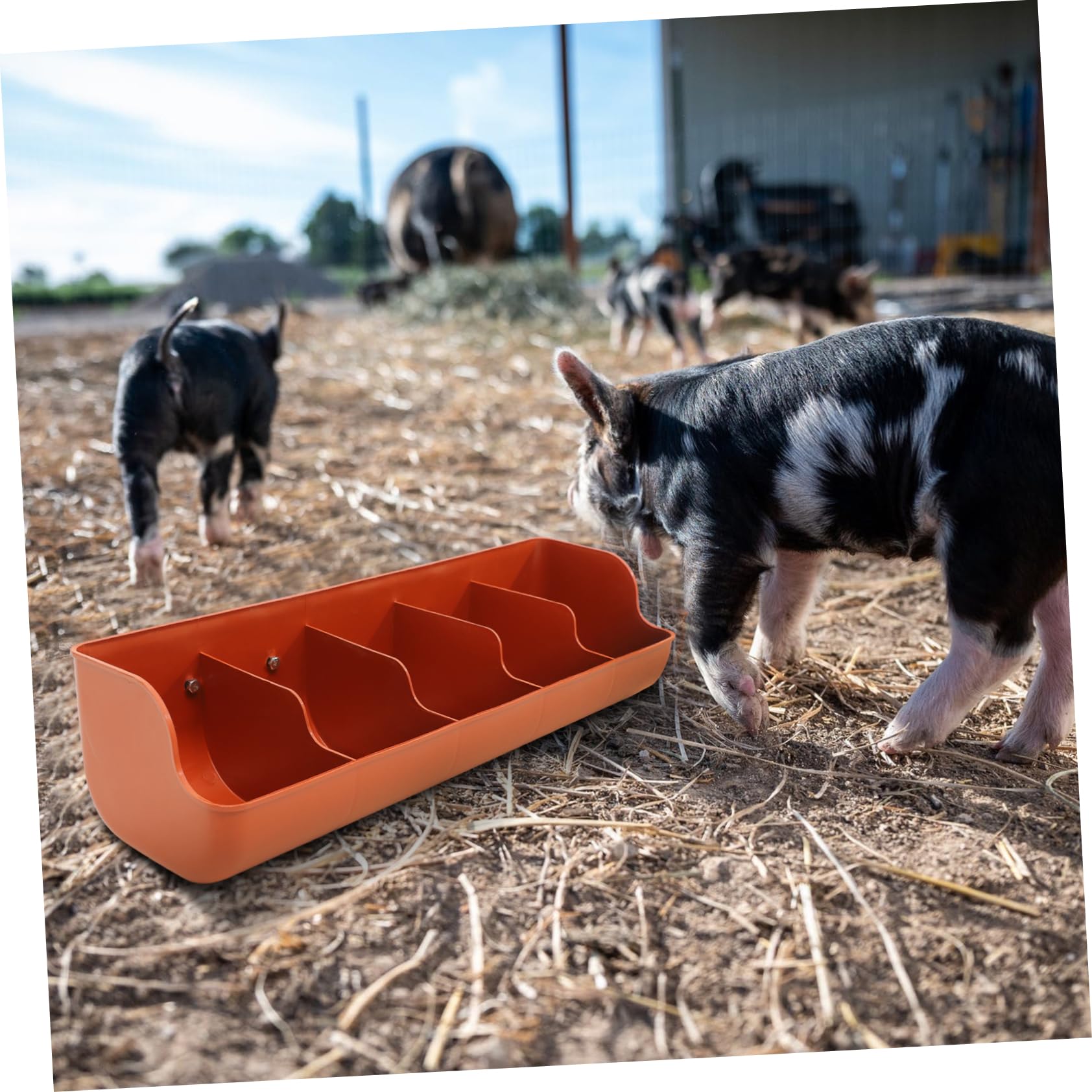 BESPORTBLE Trogolo Porcellino Salvadanaio Cavia Alimentatore Di Cibo Per Bestiame Mangiatoia Per Maiali Alimentatore Di Recinzione Con Clip Cacciatore Di Polli Galline Orange Plastica