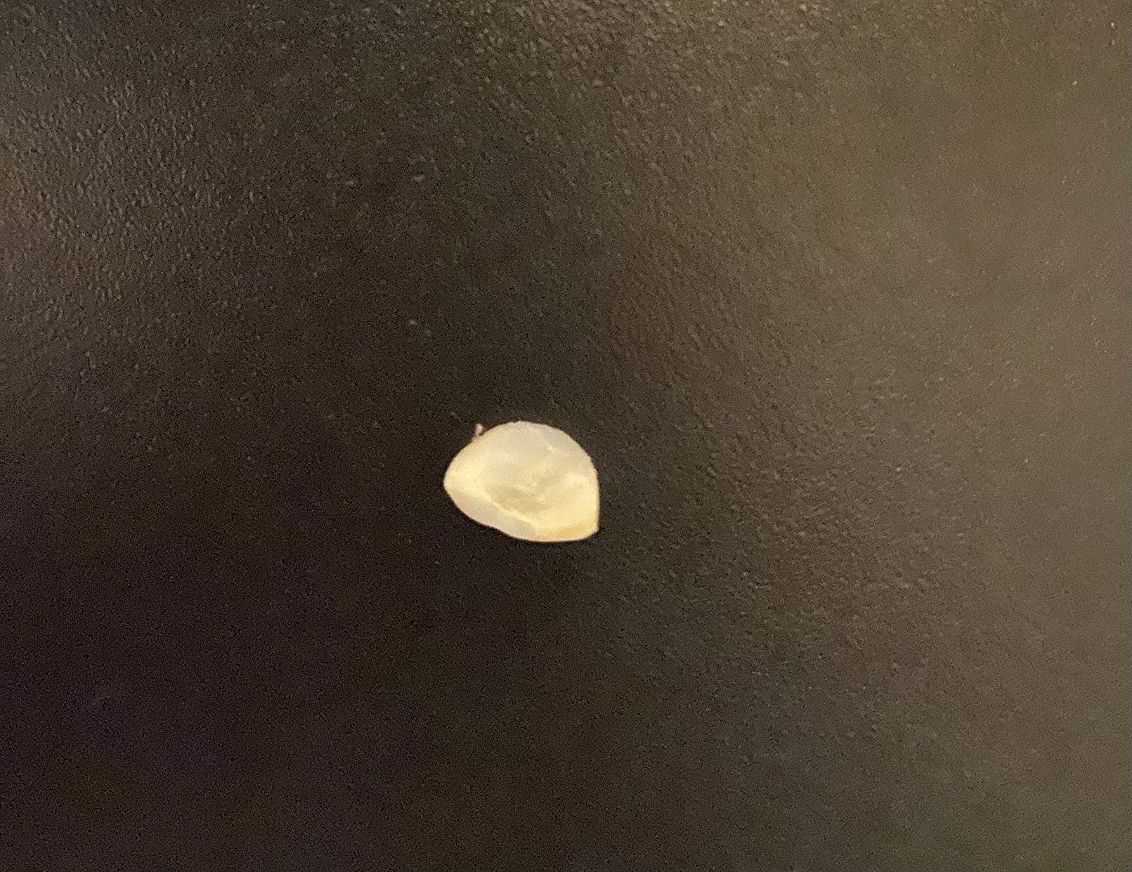 9/mo Finance mastermedi Zinc Oxide Eugenol Cement Dental Care Kit