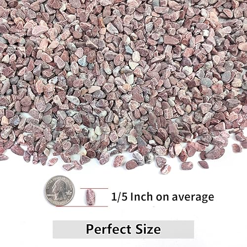 Miniatura 36 de Grava para suculentas y cactus de 10 libras, guijarros pulidos decorativos naturales de 1/5 pulgadas para paisajismo, rocas de río gris