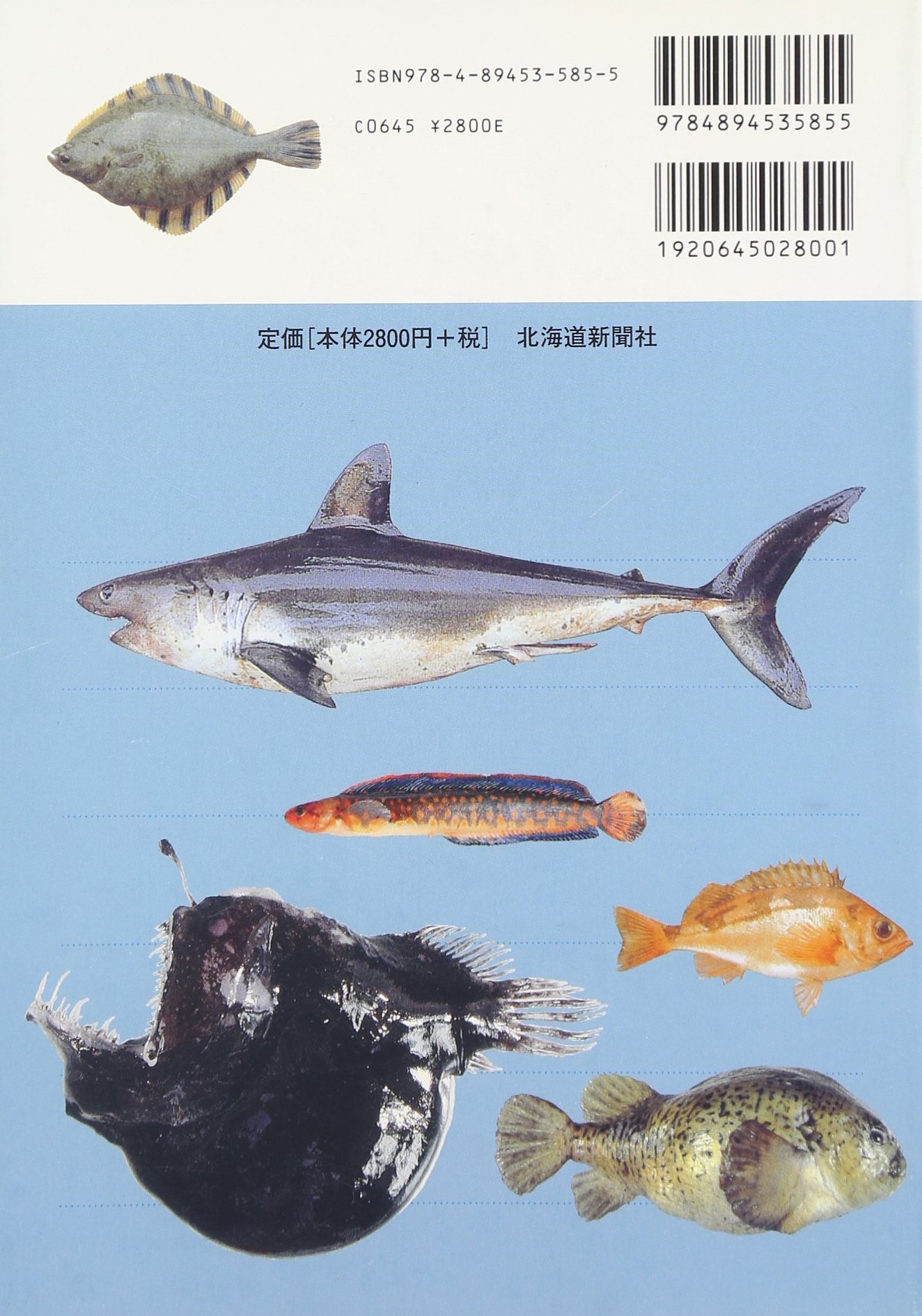 【中古】日本産ヒラメ・カレイ類／尼岡 邦夫／東海大学出版部 日本産ヒラメ・カレイ類 尼岡 邦夫(著) - 東海大学出版部 | 版元ドットコム