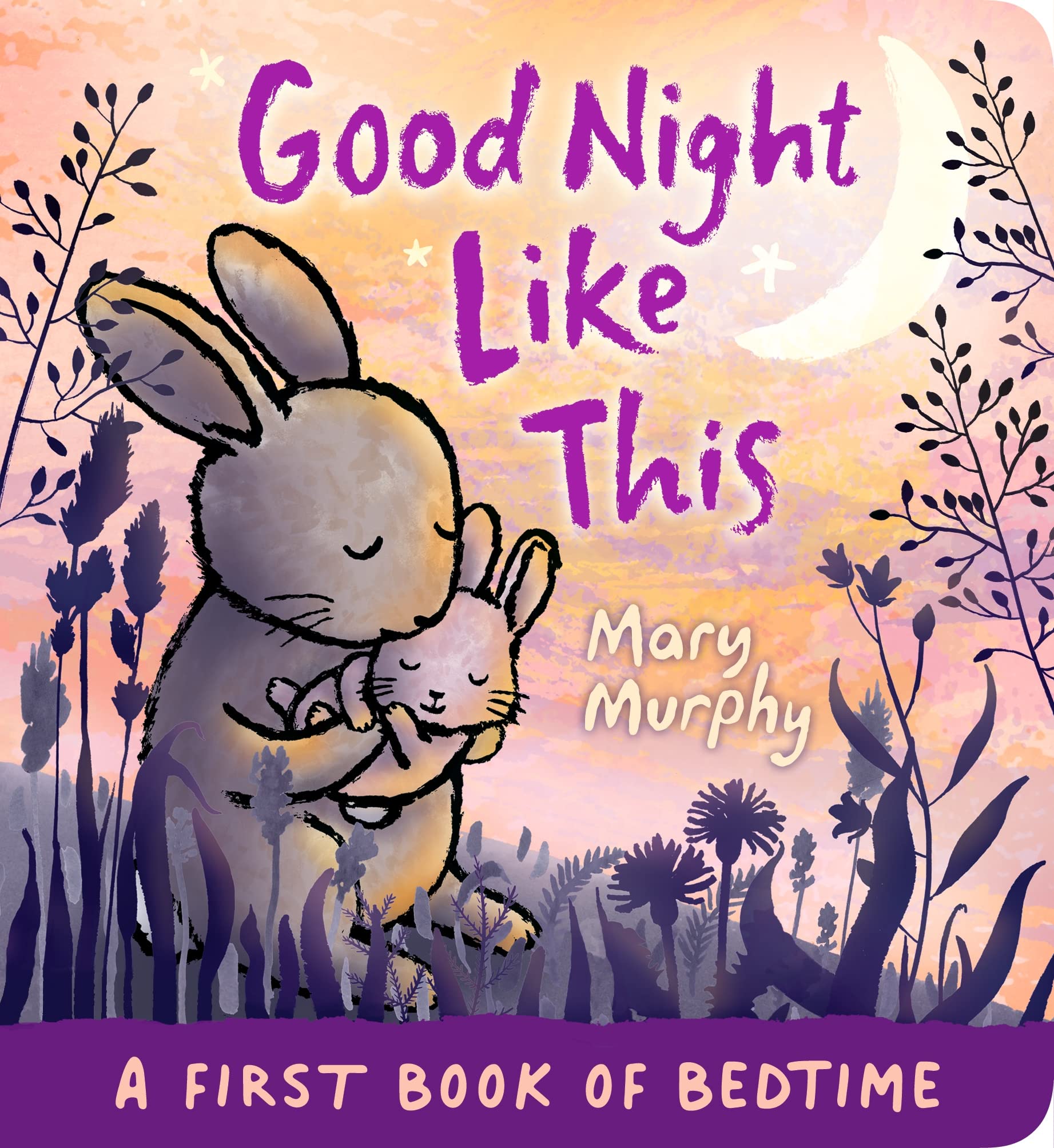 Good Night Like This by Mary Murphy (Board book)
