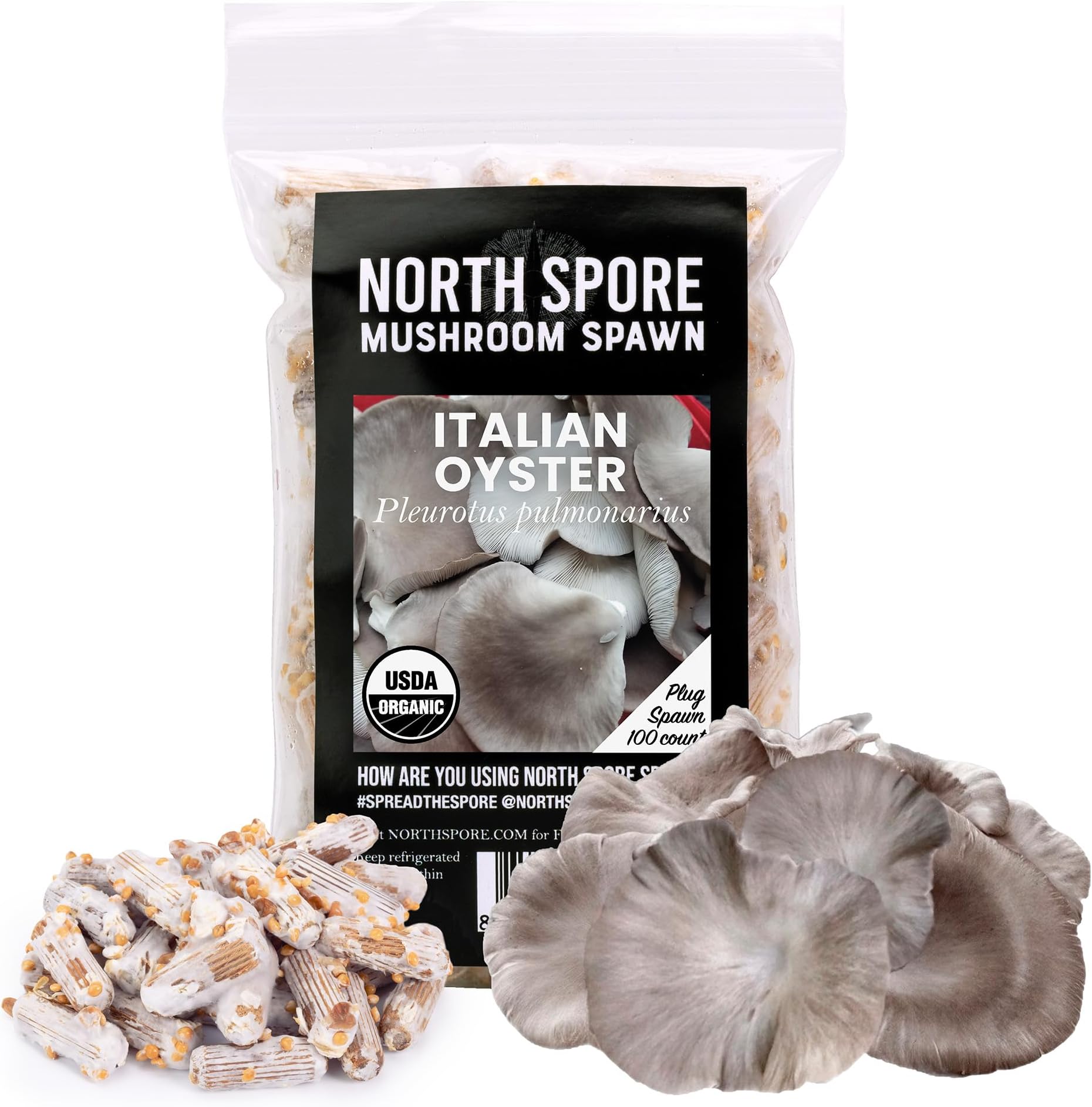 Organic Italian Oyster (100 ct) Mushroom Plugs for Logs | Premium Quality Mushroom Plug Spawn | Handmade in Maine, USA | Grow Gourmet Mushrooms Outdoors on Logs
