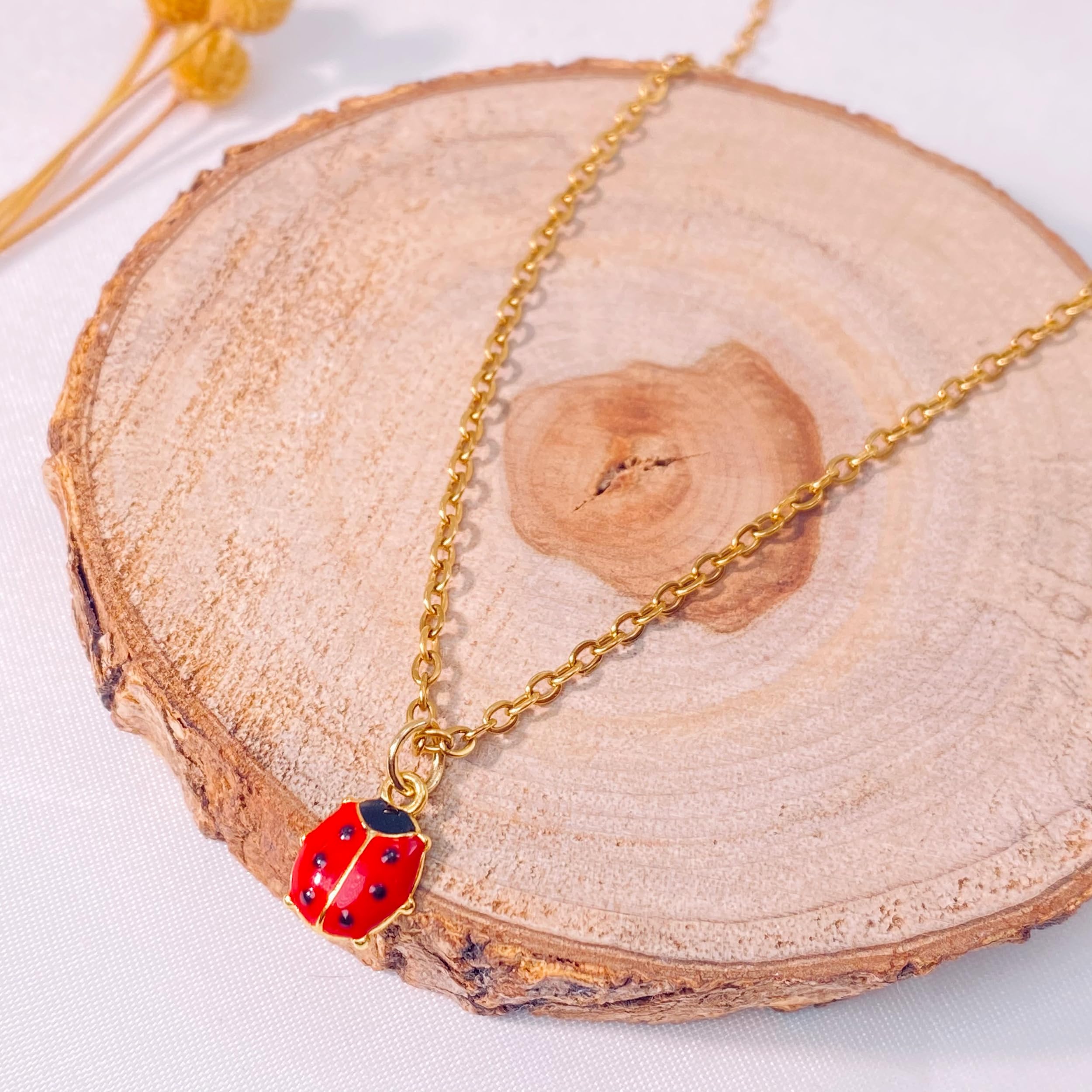 Ladybug Necklace for Women Girls Ladybug Charm Jewelry Ladybug Lover Gifts Ladybug Good Luck Gifts for Mom Daughter Granddaughter Niece Best Friends