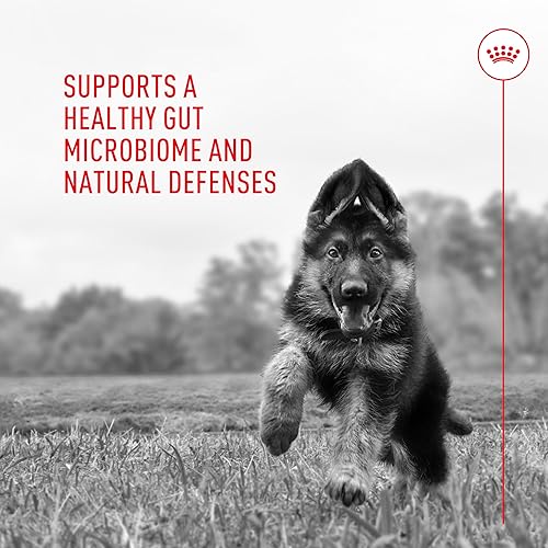 Miniatura 6 de Royal Canin Probióticos para perros Suplemento en polvo para la salud digestiva e inmunológica para perros de todas las edades, 30 unidades
