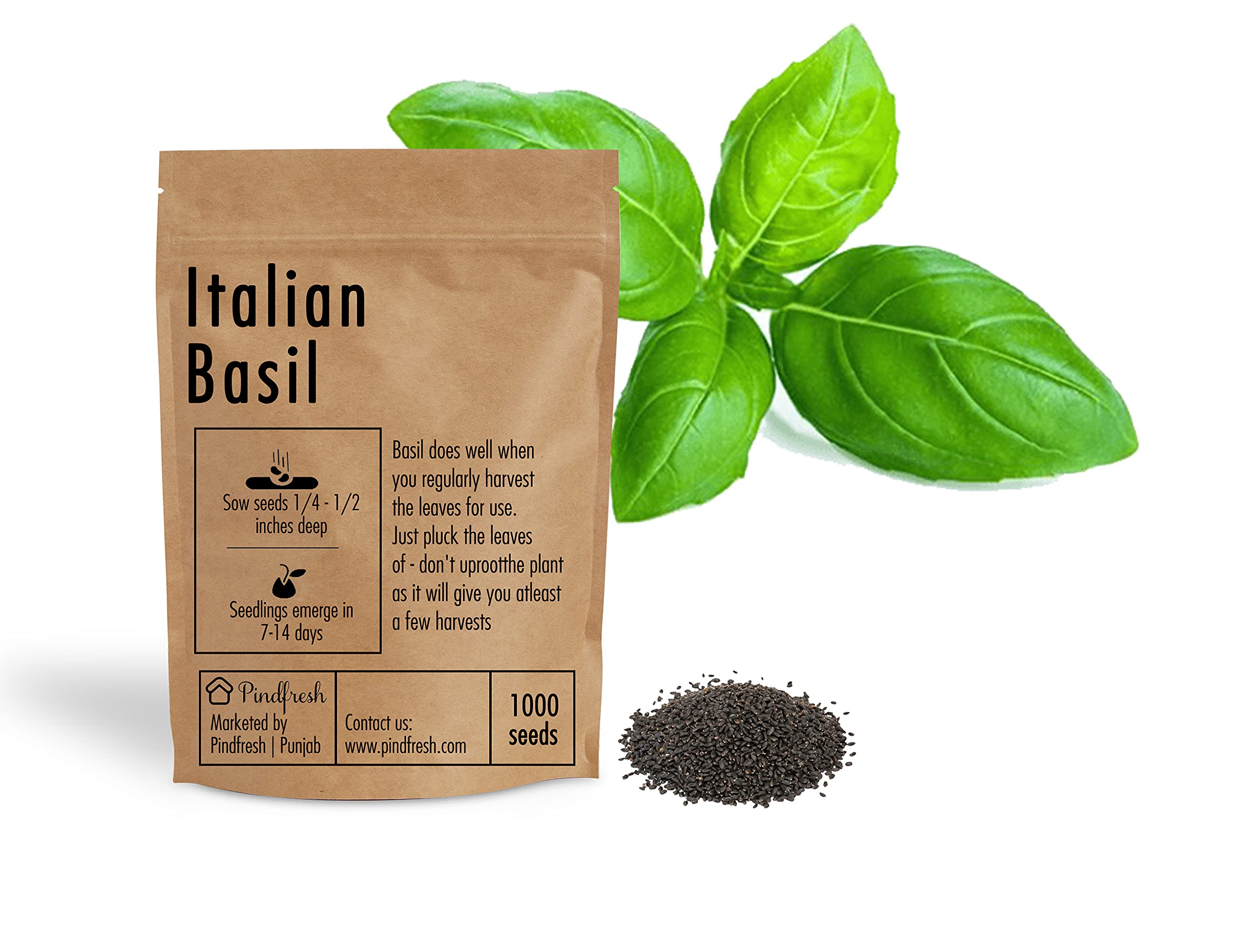 Pindfresh Seeds - Basil Green, Qty 1 packet contain 1000 seeds - Hydroponics, Cocopeat & Soil Gardening (B09D9KYZ49) Amazon Price History, Amazon Price Tracker