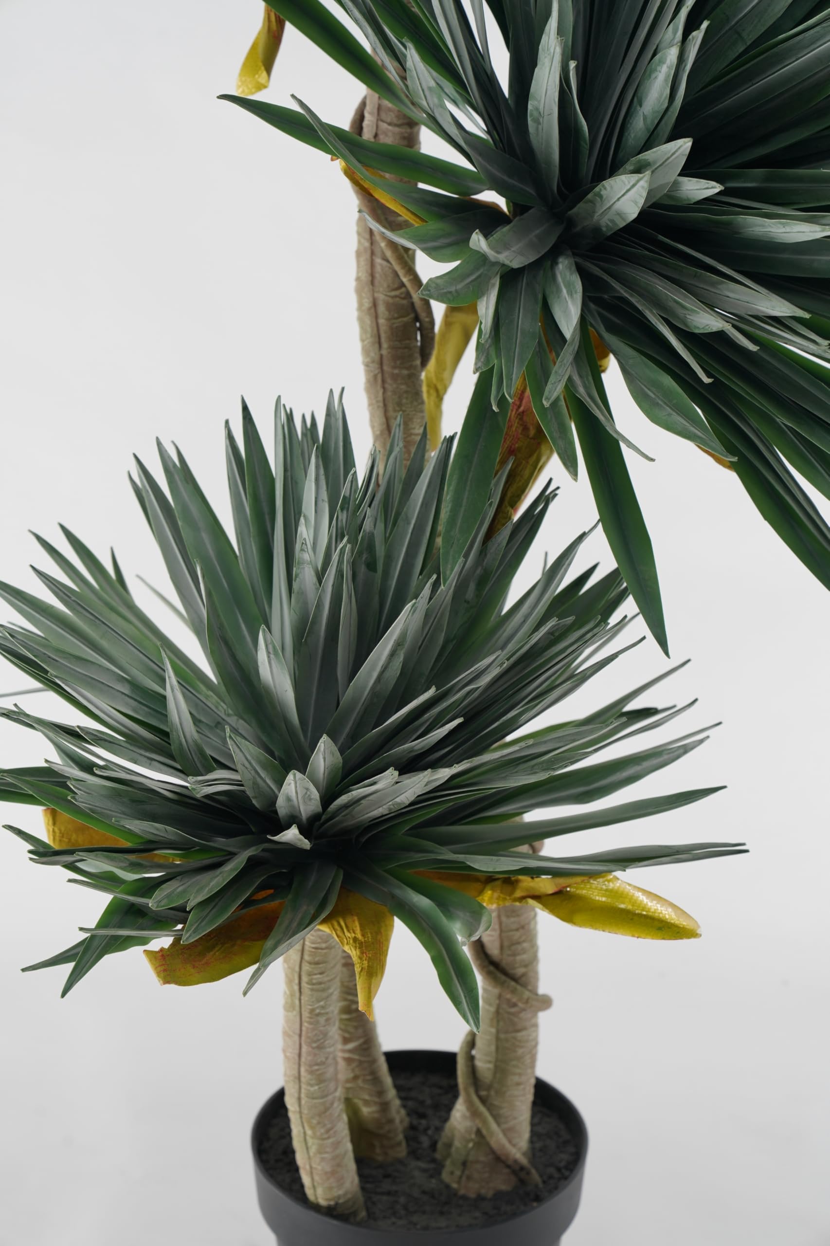 Yucca Pianta Grassa Sintetica da Arredamento Realistica 165 cm, Foglie PVC, per Spazi Interni, Abitazioni Residenziali e Attività Commerciali