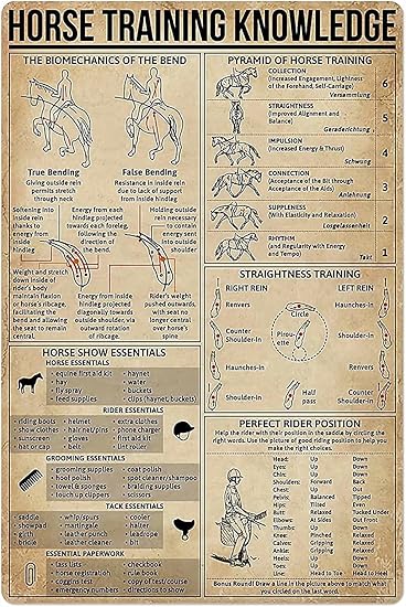 Amazon.com: Horse Training Knowledge Metal Tin Sign,Perfect Rider ...