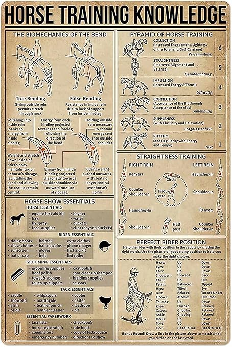Amazon.com: Horse Training Knowledge Metal Tin Sign,Perfect Rider ...