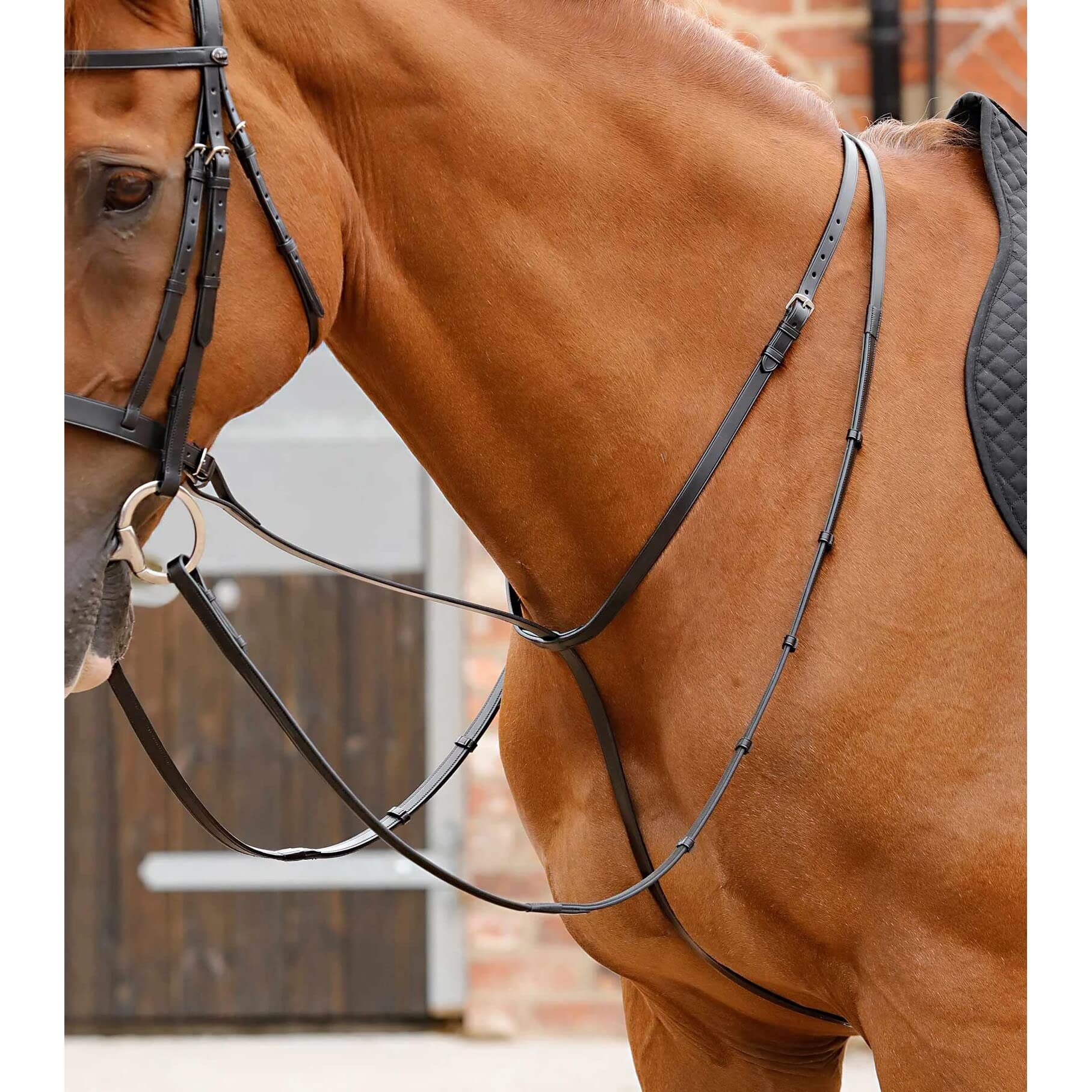 Premier Equine Martingala per Cavalli Gressan