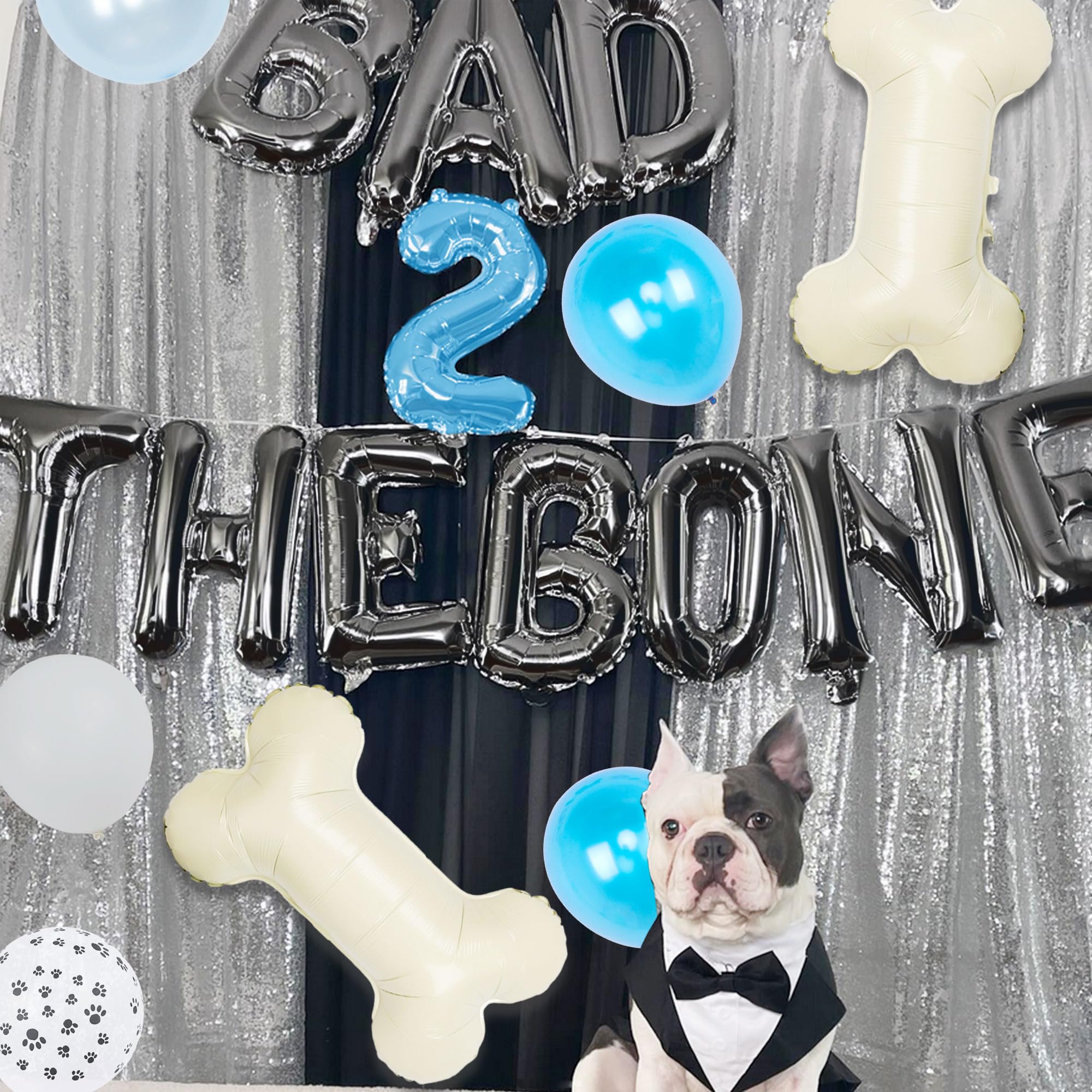 Kreat4joy Sfondo Fotografico Per Festa Di Compleanno A Tema Cane, Bad Two The Bone, 0,9x1,5 M, Decorazioni Per 2 Anni Con Cucciolo E Palloncini
