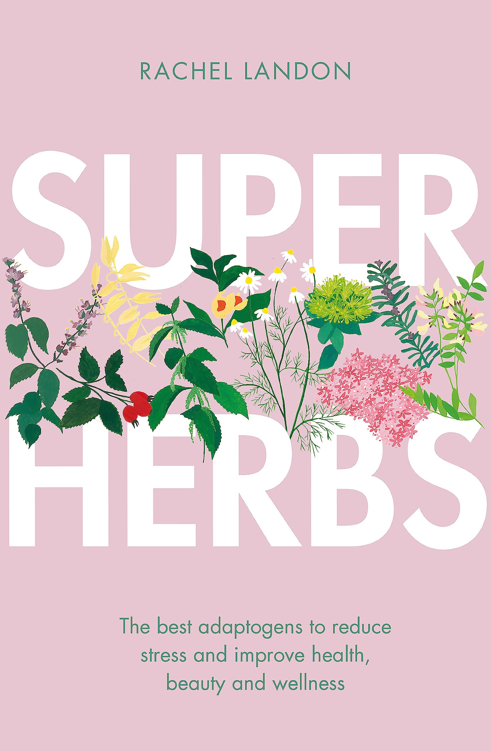 Superherbs: The best adaptogens to reduce stress and improve health, beauty and wellness