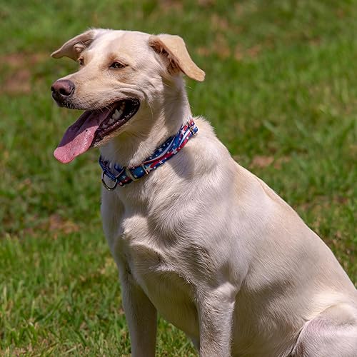 Miniatura 2 de Country Brook Petz - Collar para perro Martingale de 1 12 pulgadas - Colección Americana