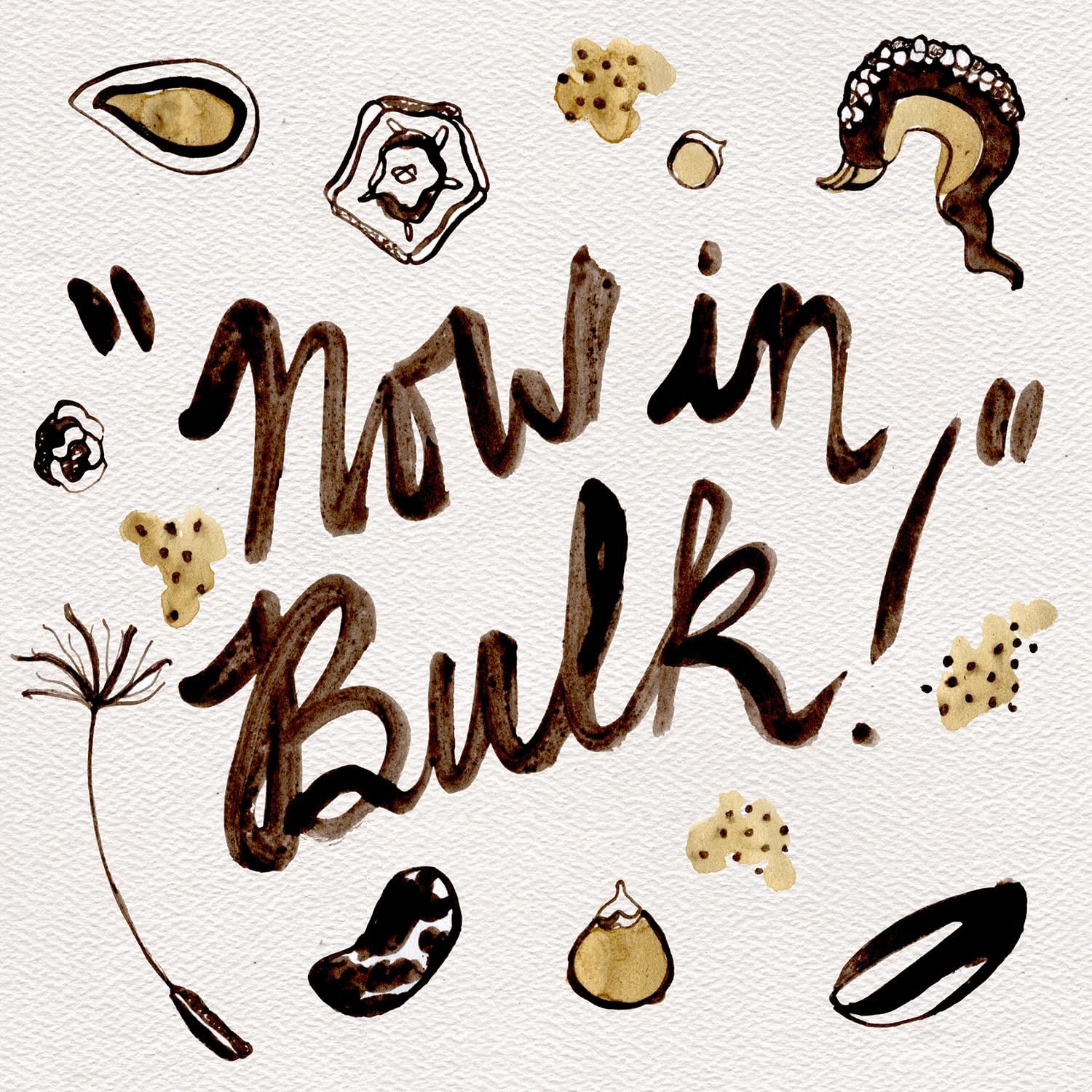 White Sage Salvia apiana Seeds - 1 Ounce 16,500 Seeds, Certified Organic, Non-GMO, Open Pollinated, Untreated Herb Seeds for Planting &ndash; from USA