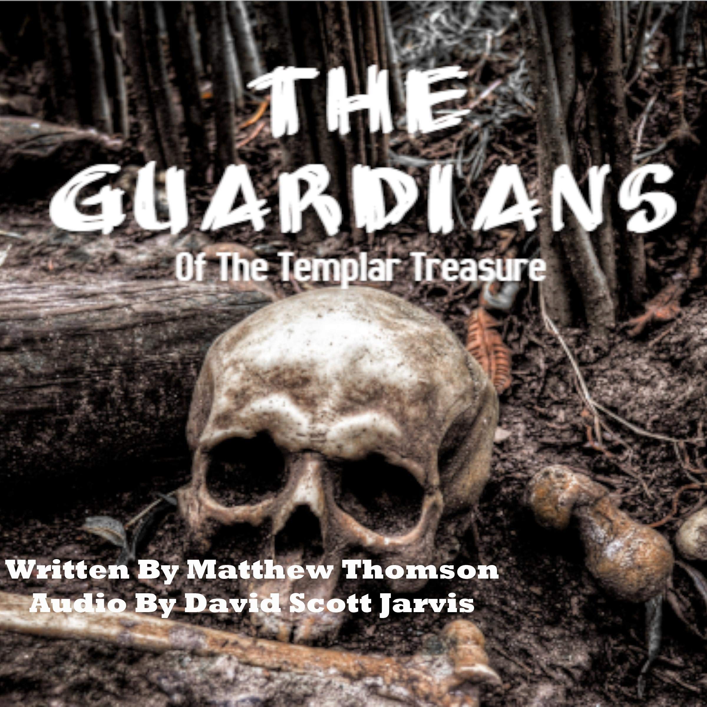 Cover art for The Guardians of the Templar Treasure