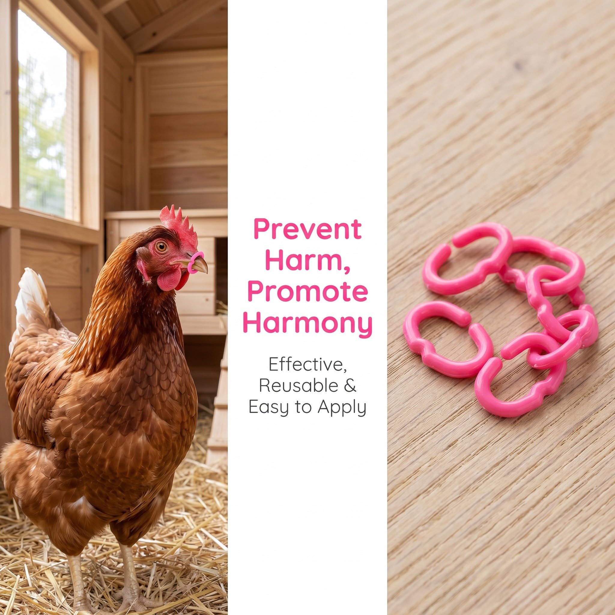 1000 anillos para de pollo: Anillos de plástico para de pollo - Cierres a presión para la boca, accesorio para el manejo de la cría de de engorde