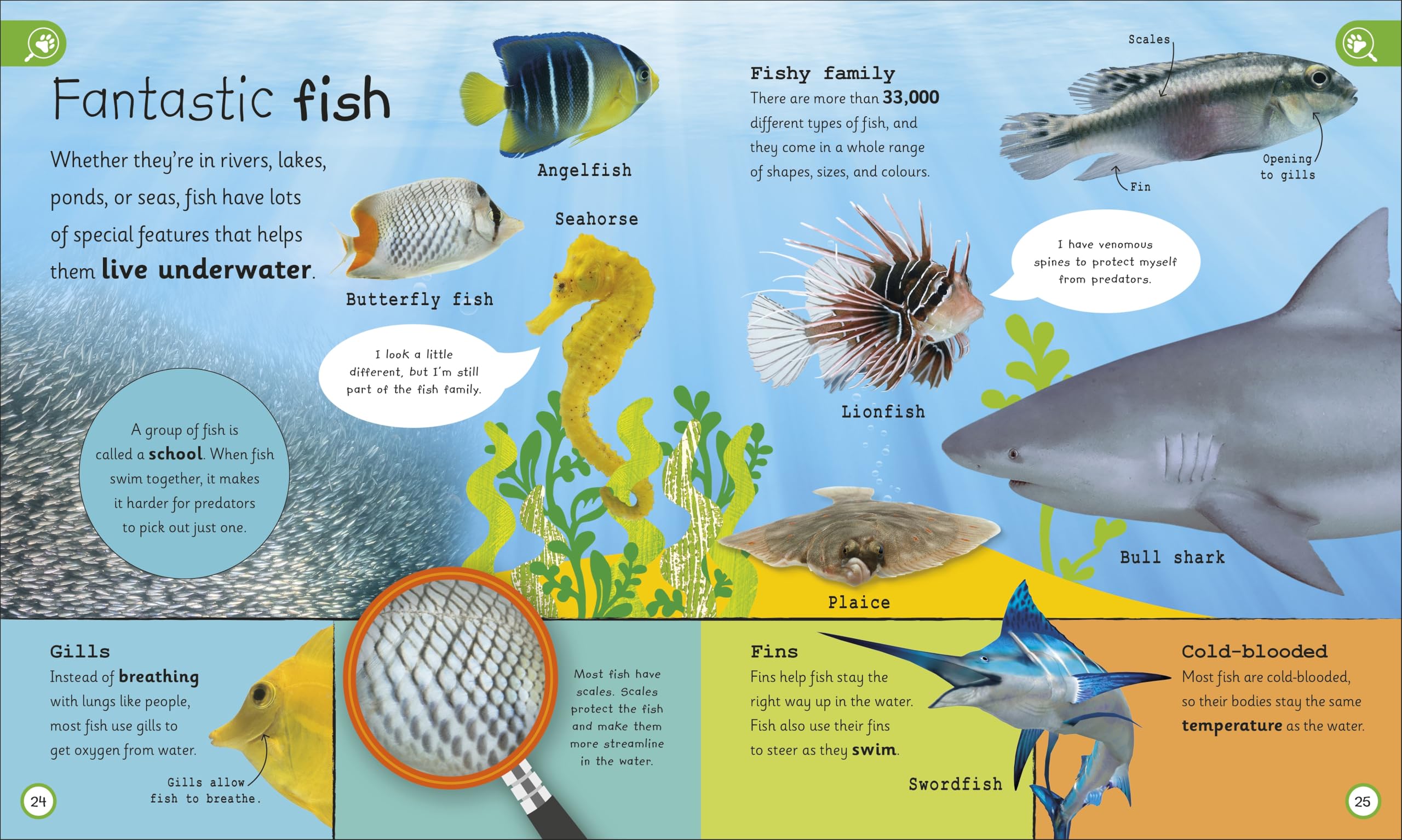 My Encyclopedia of Very Important Animals: For Little Animal Lovers Who Want to Know Everything (My Very Important Encyclopedias)