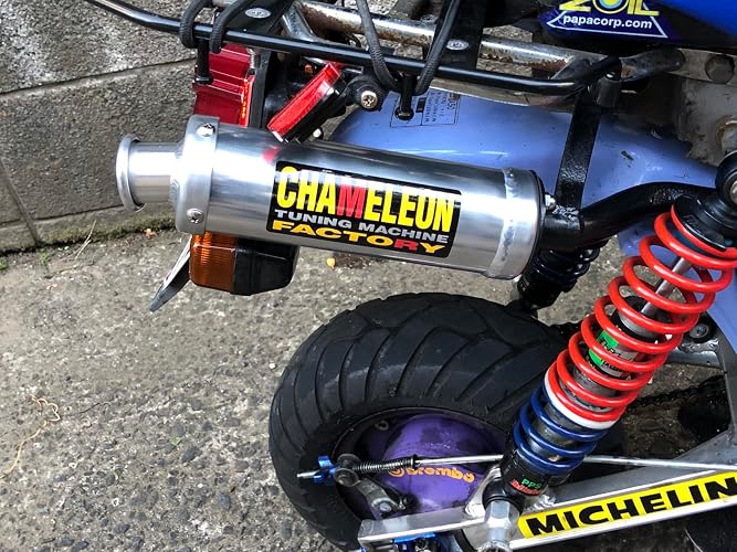 Amazon.co.jp: 東洋マーク製作所(Toyo Mark) カメレオン ファクトリー