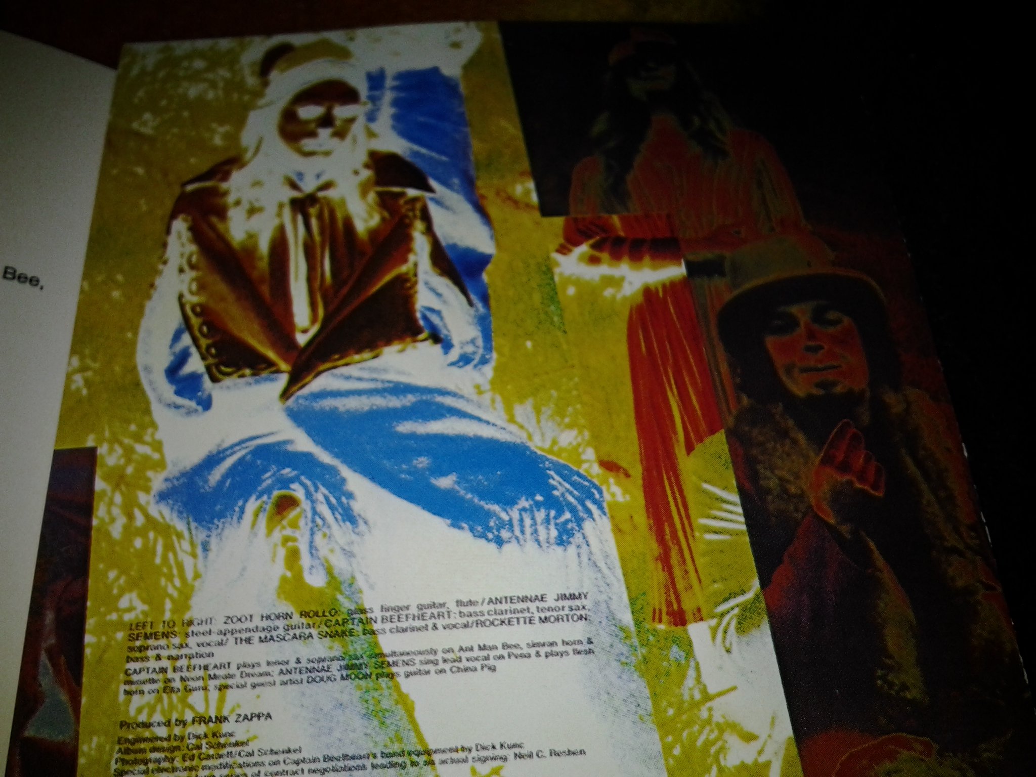 Trout Mask Replica
