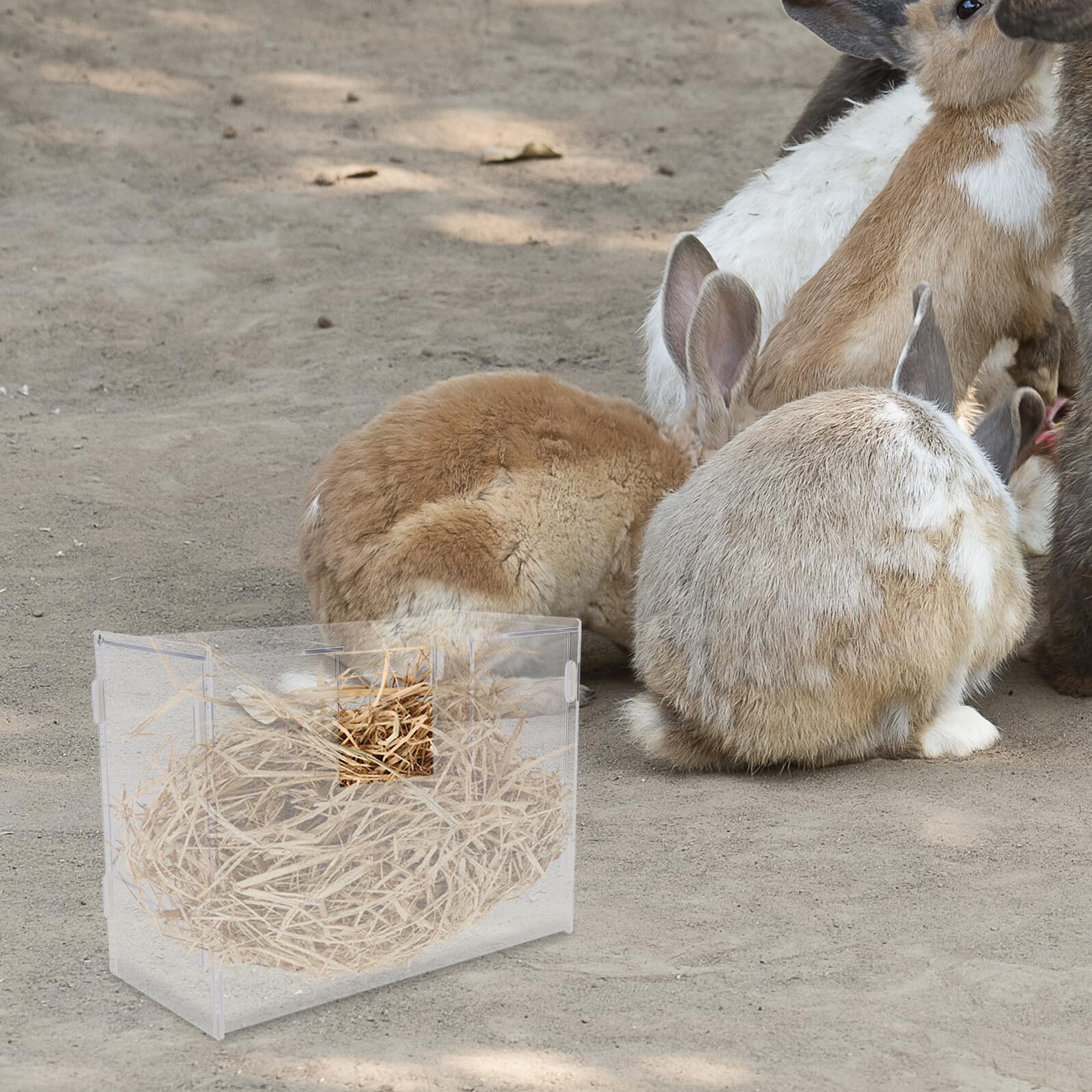 Gatuida Comedero Acrílico para Conejos y Pequeños Roedores Gran Capacidad, Soporte Colgante Fácil de Limpiar Adecuado para Hámsters y Cobayas