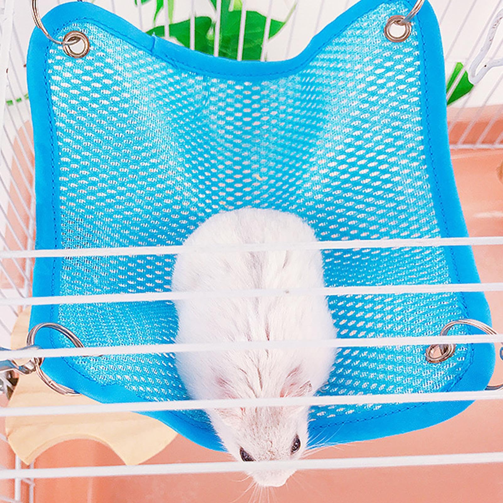 Amazon.co.jp: 小型動物用ハンモック | フェレット用メッシュ